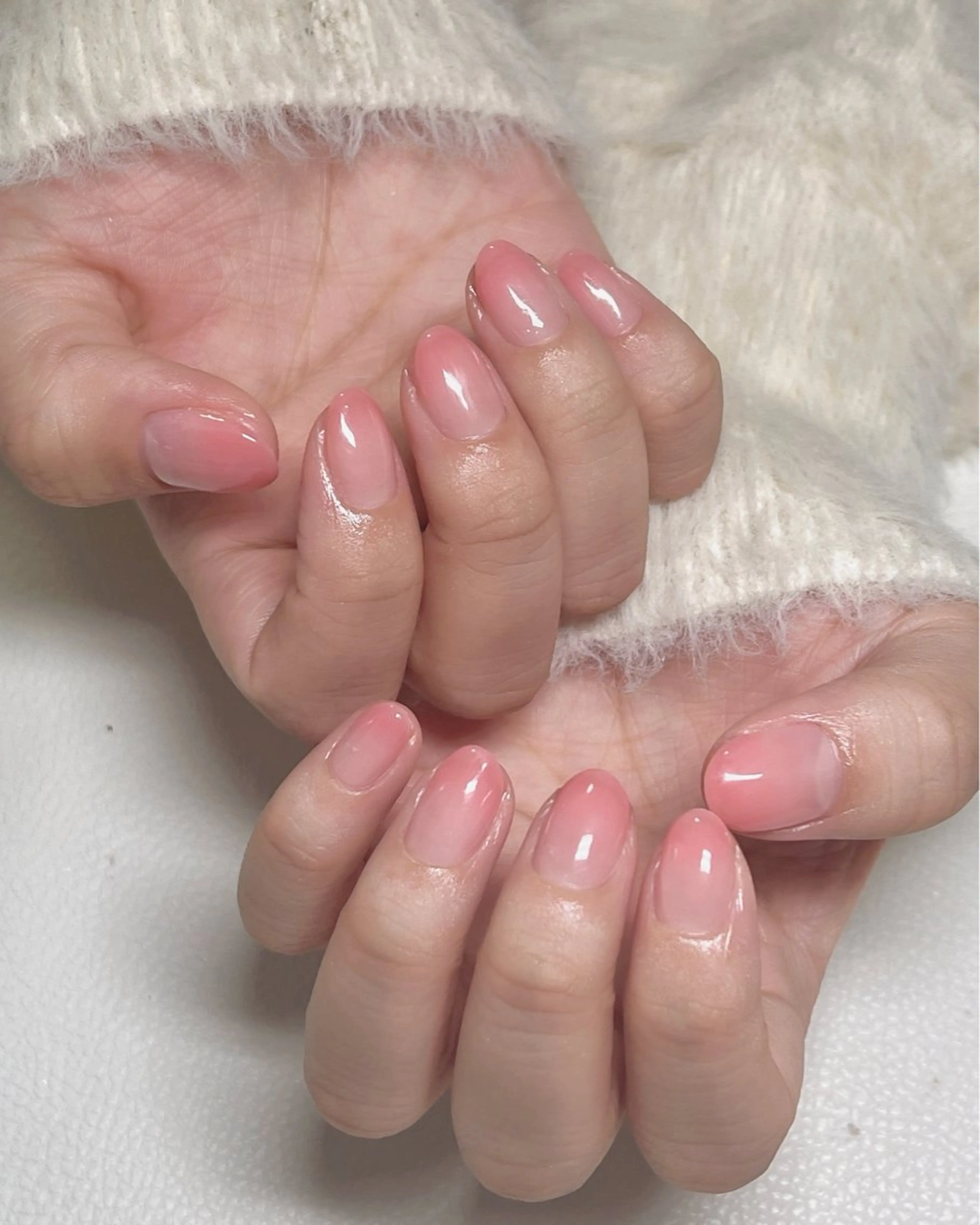 🍭［オフ有り］カラーグラデーションʕ •ᴥ•ʔの写真