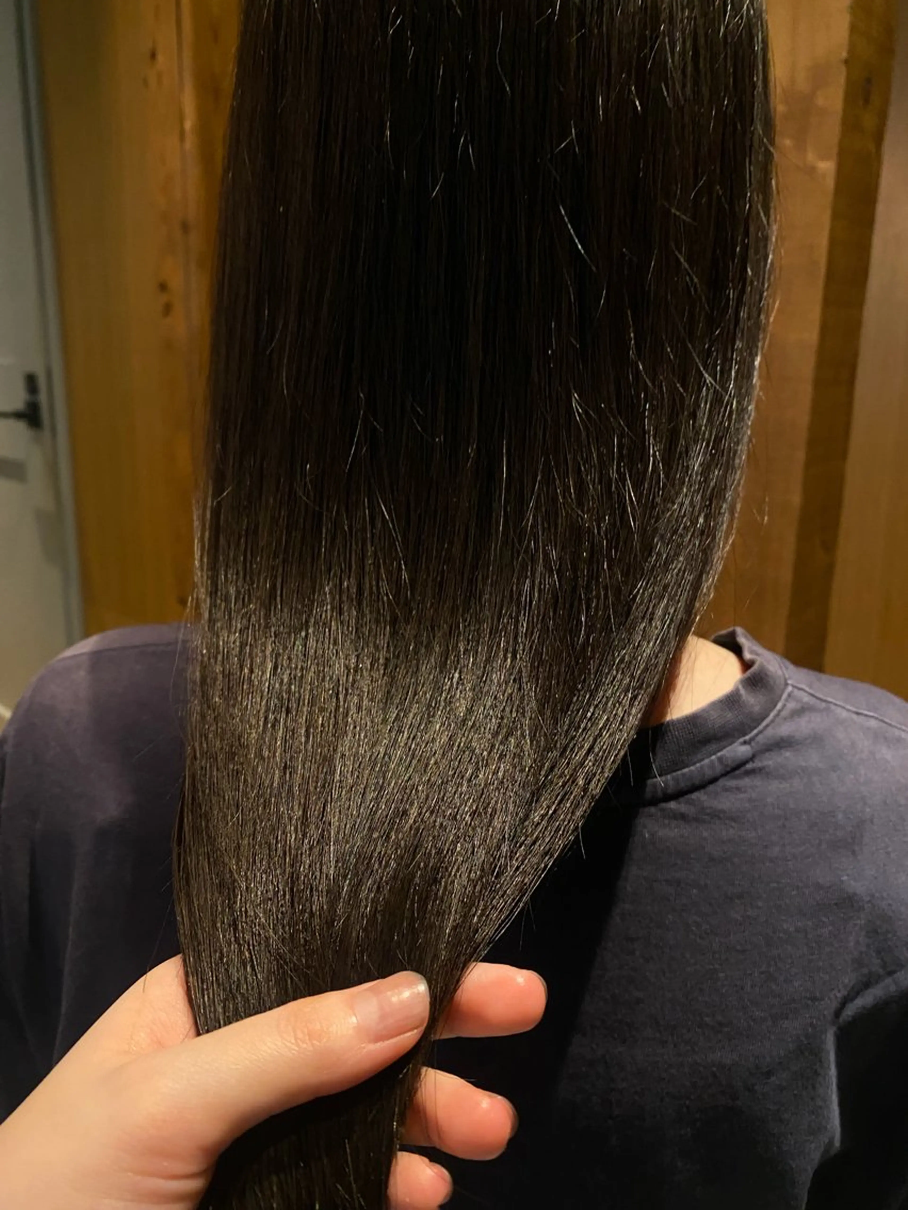 ワンカラーの写真