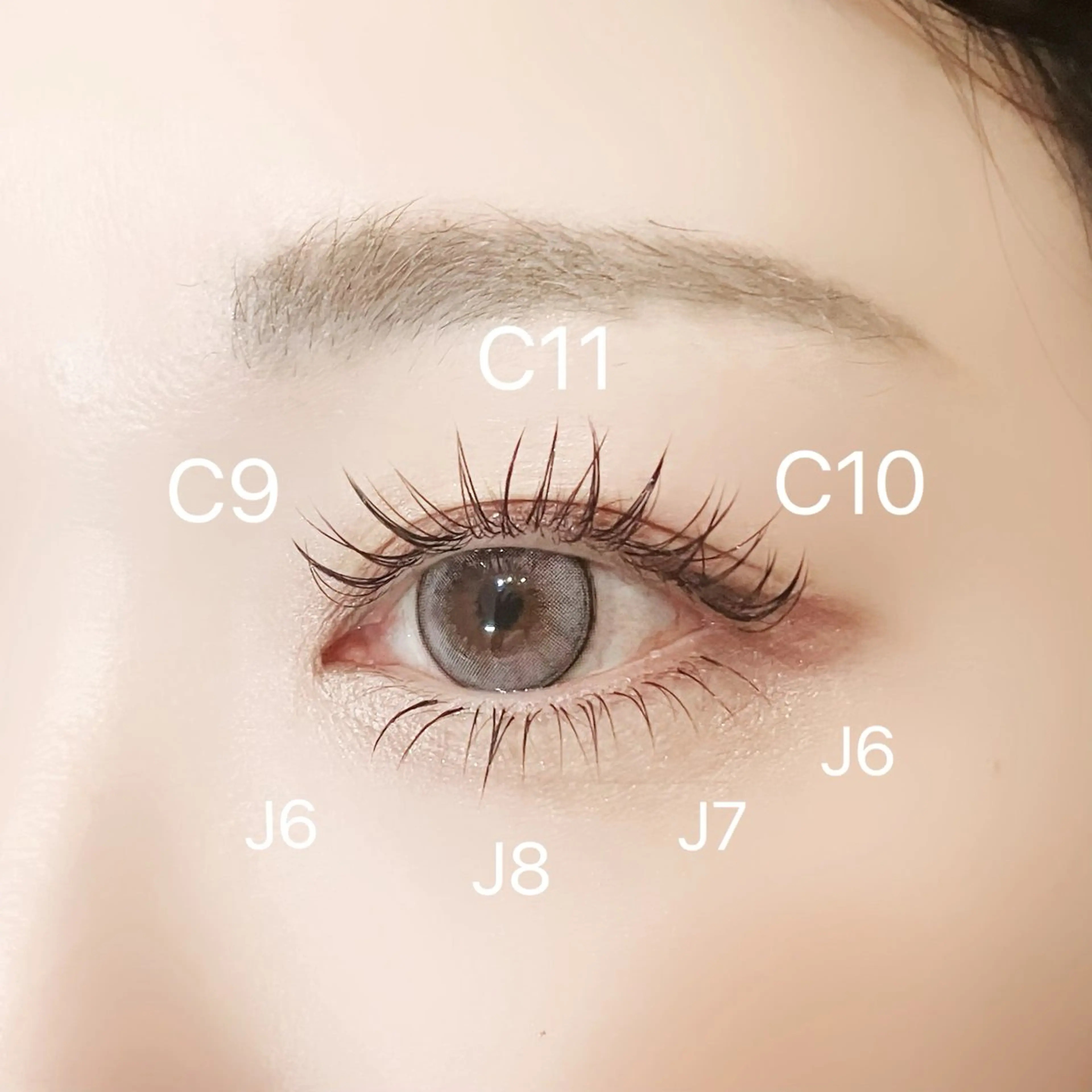 ⚠️⑧日限定4組のみ⚠️下まつげエクステモデル募集🌟の写真