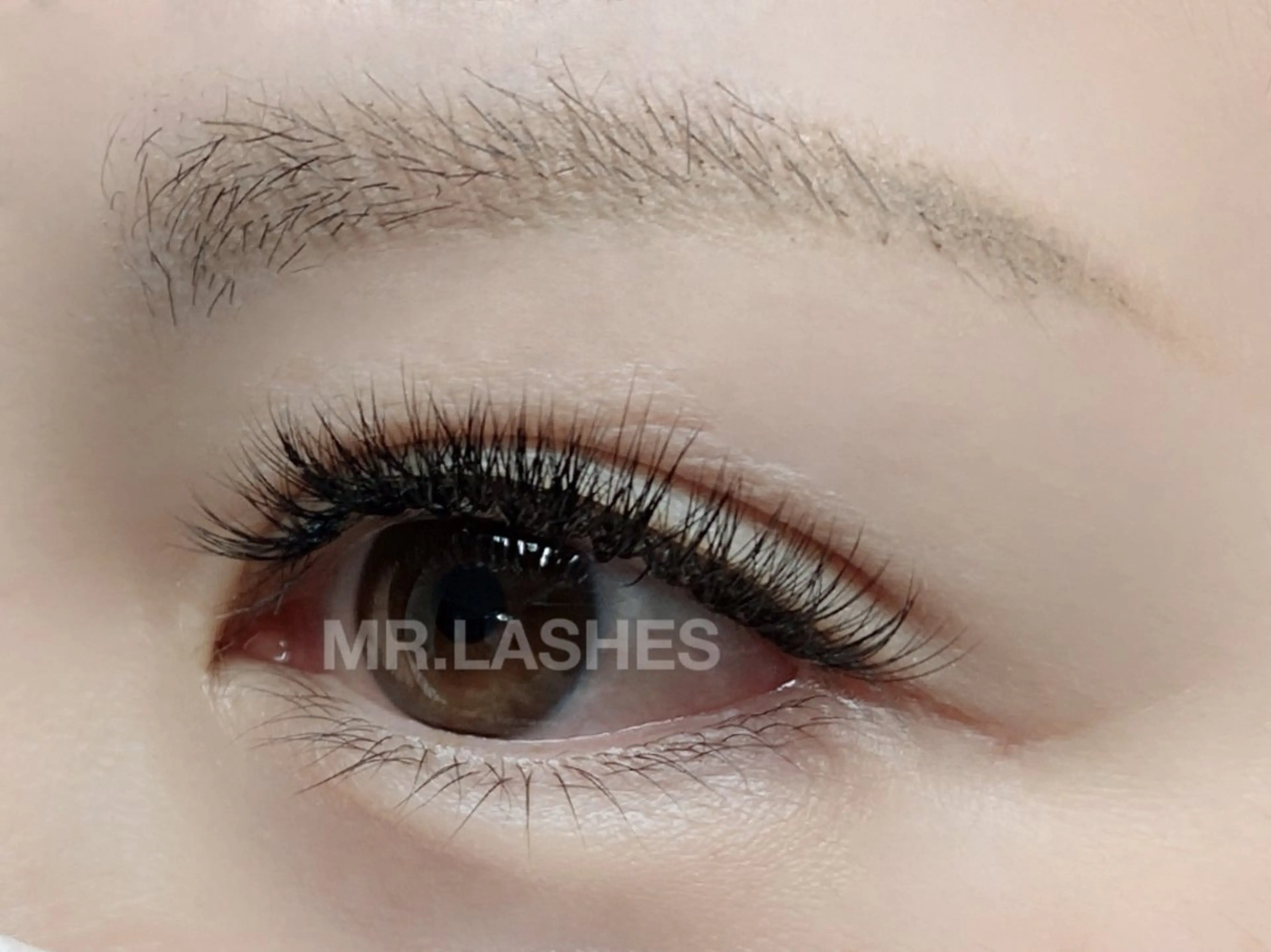 マツエク・マツパ 付け放題 MR.LASHES所属・MR.LASHES 🧸erikaのマツエク・マツパデザイン