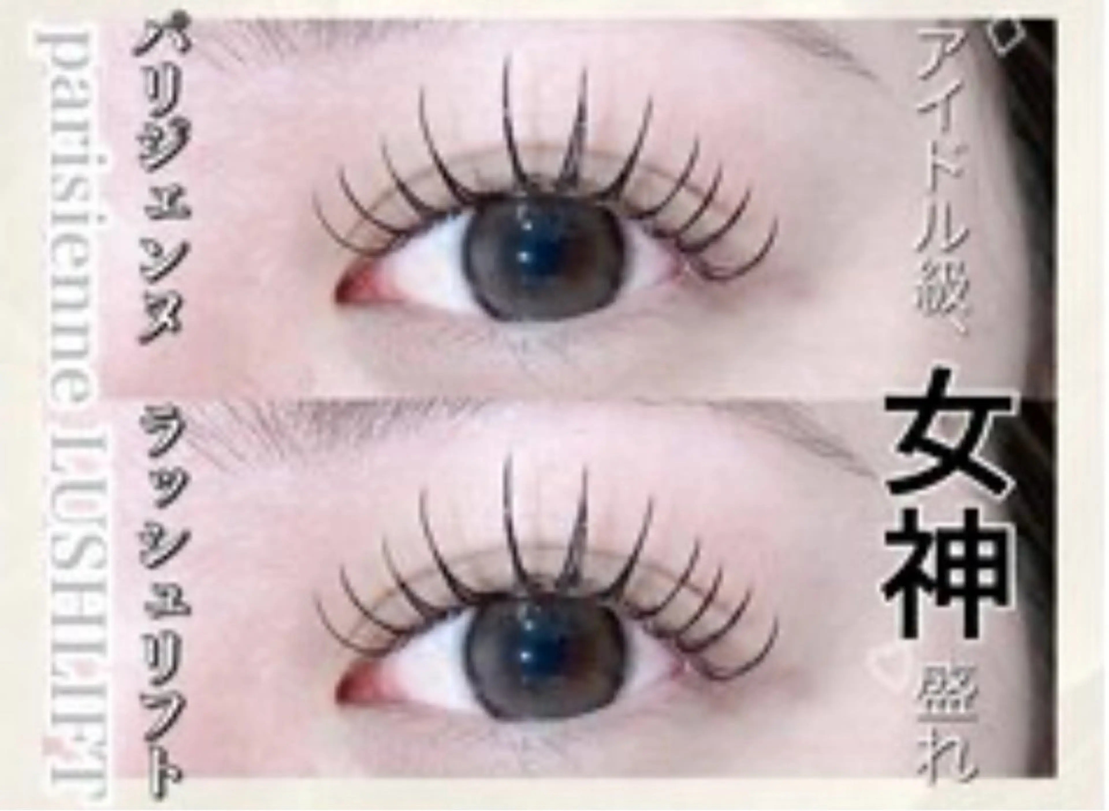 学生人気No.1🎓︎💕︎学割U24︎💕︎🎓パリジェンヌラッシュリフト(無料コーティング仕上げ)の写真