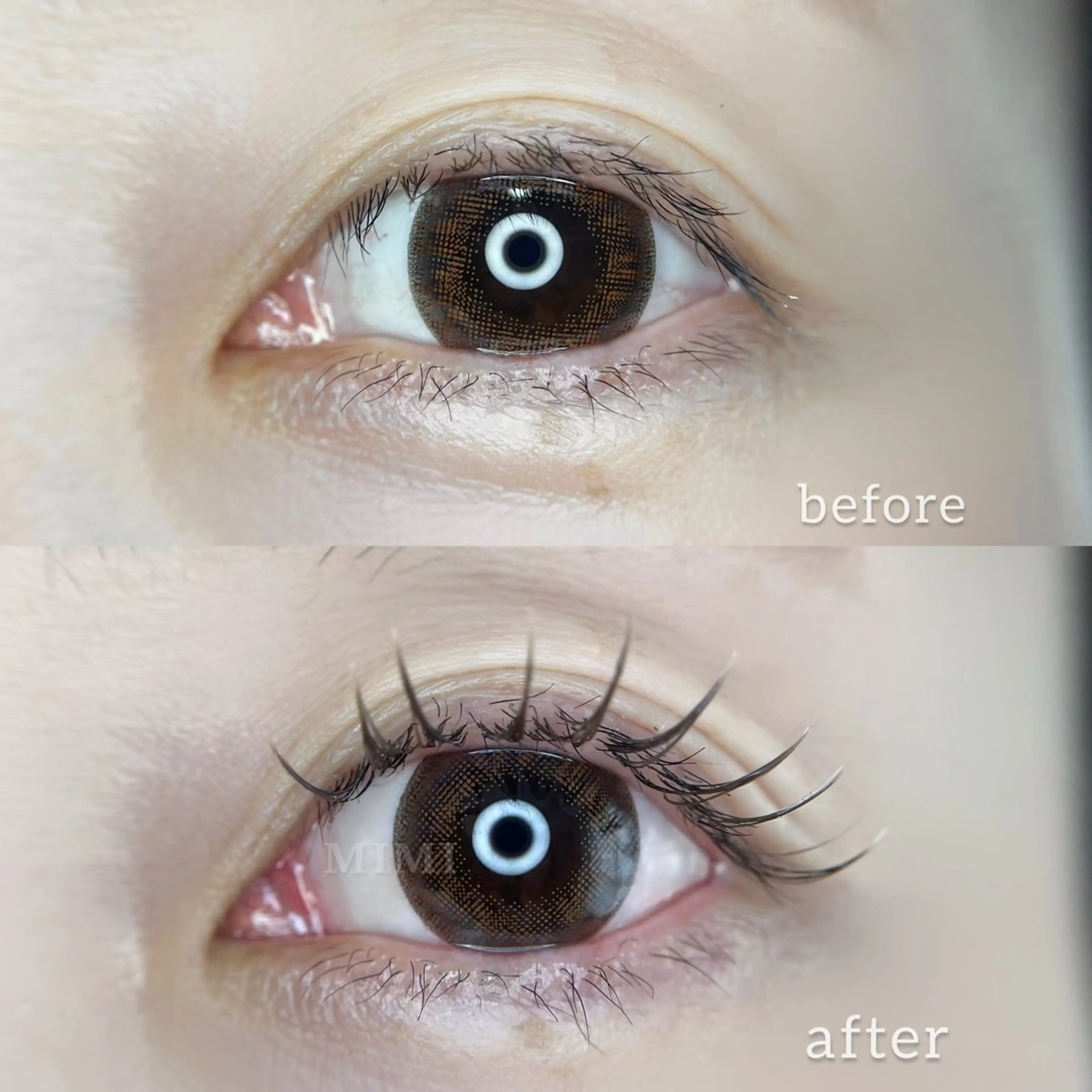 minimo限定クーポン！フラットラッシュ100本 ¥5000の写真