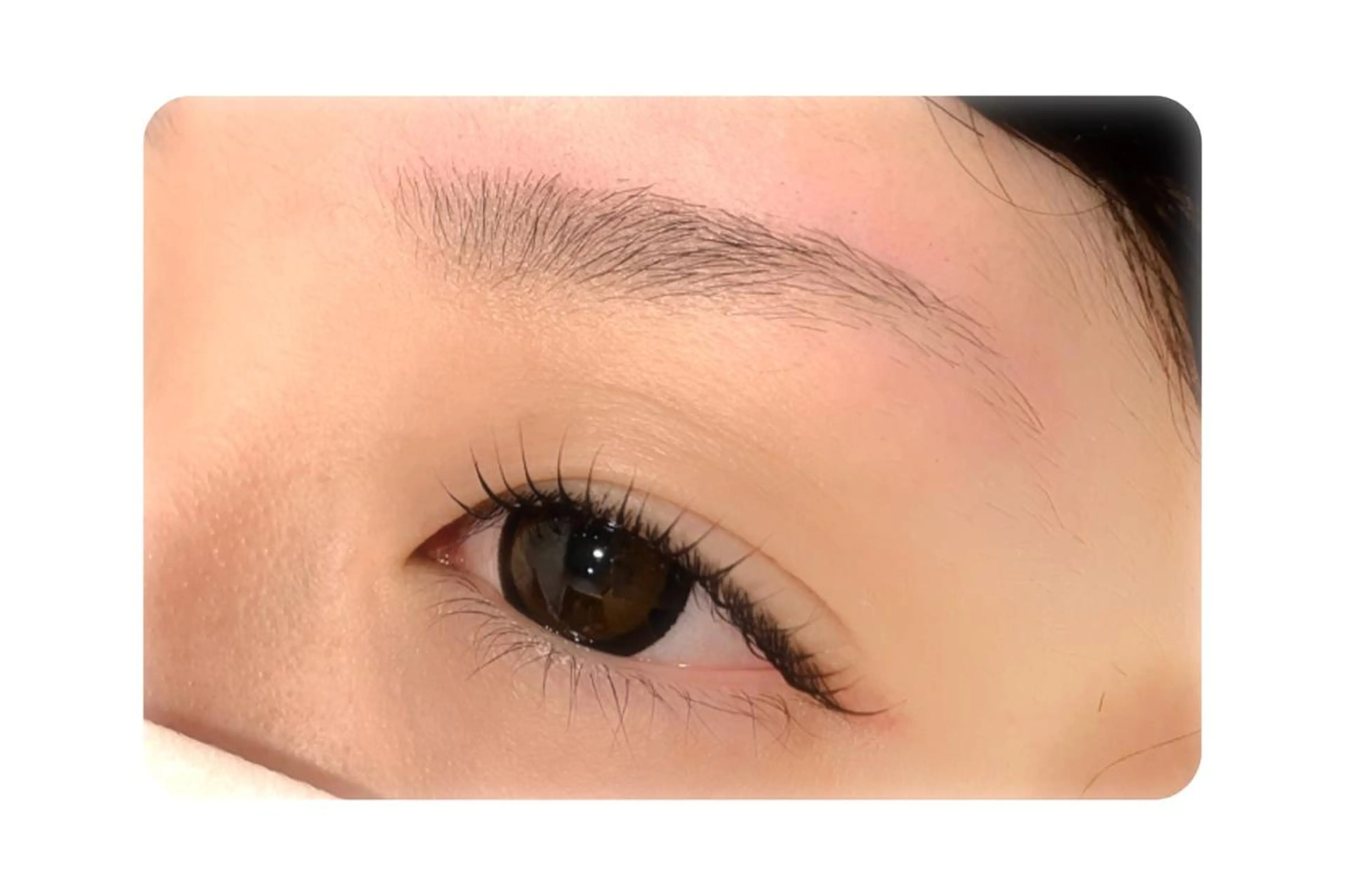 マツエク・マツパ Gluttony/ ｸﾞﾗﾄﾆｰ＊ユキのマツエク・マツパデザイン