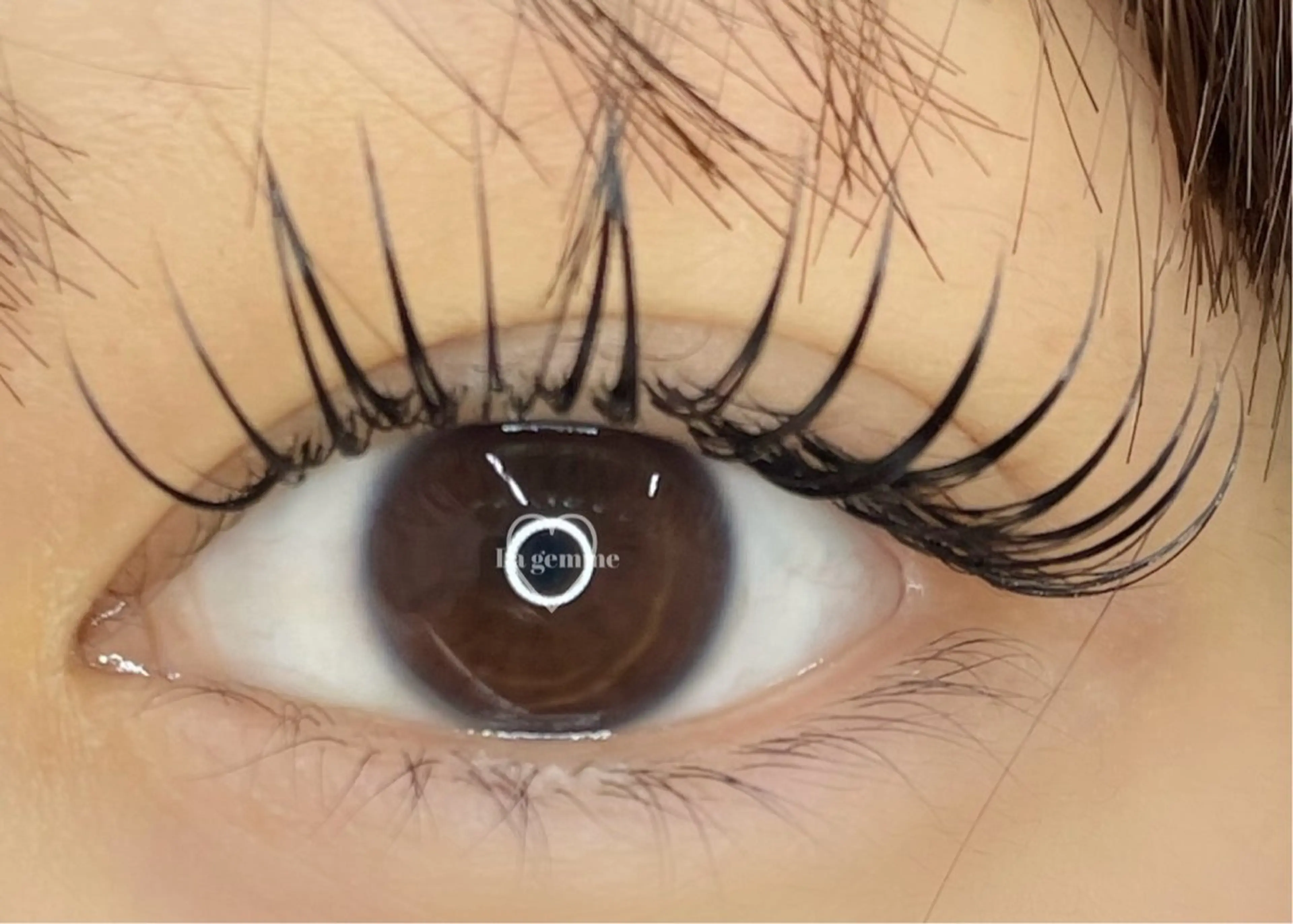 マツエク・マツパ アップワードラッシュ La gemme所属・La gemme💍 Tanahashiのマツエク・マツパデザイン