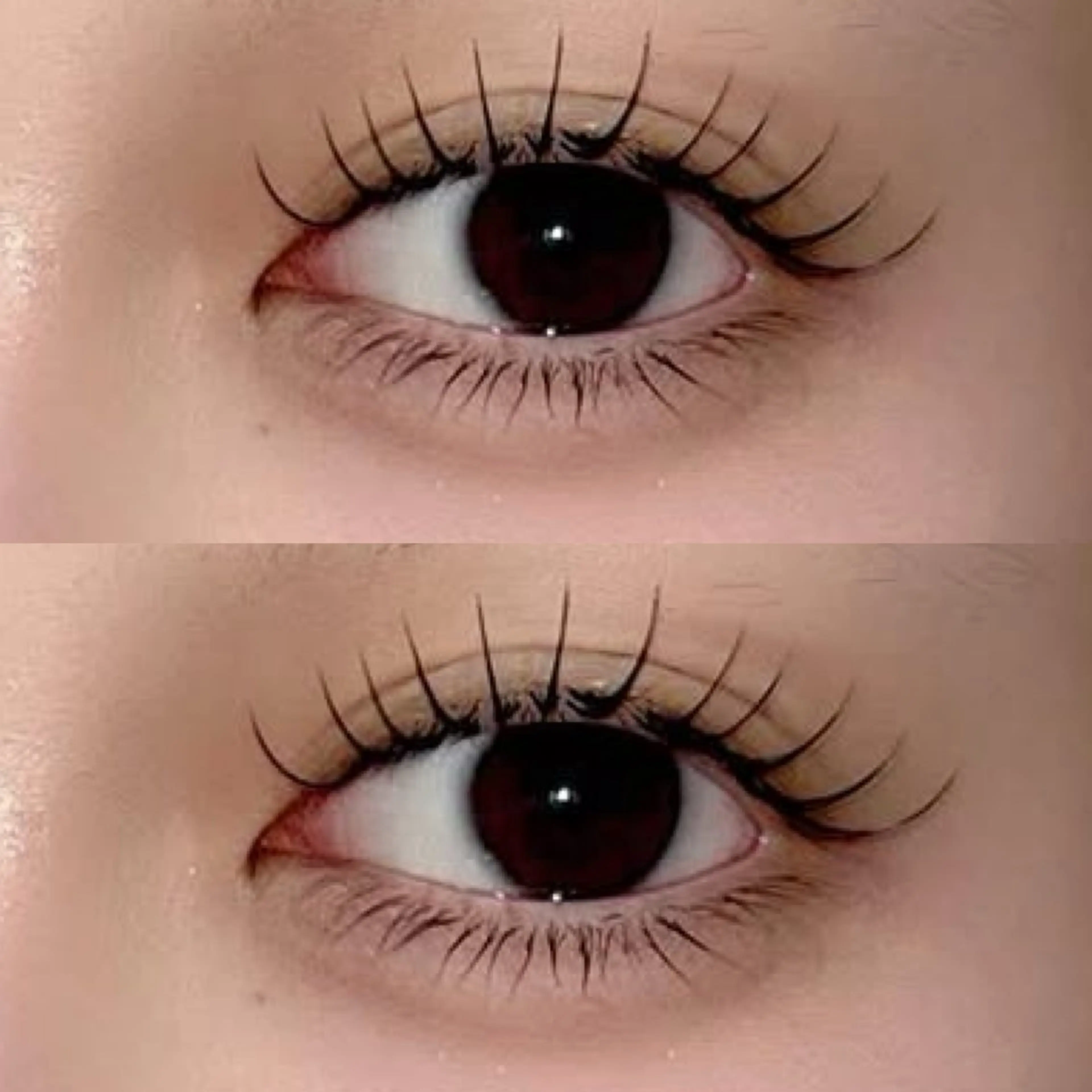 【12月限定】上下まつげパーマ♡の写真