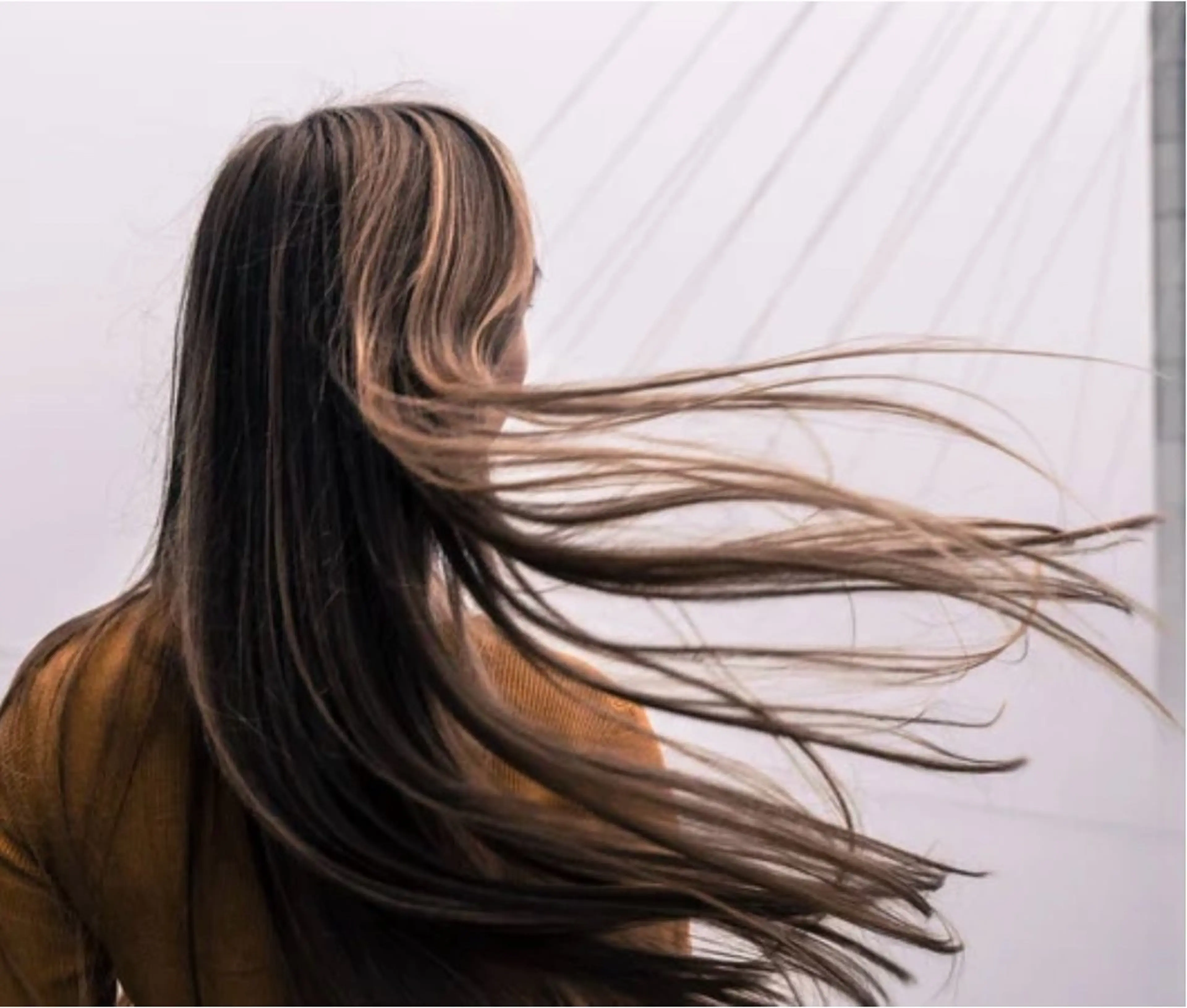 毛髪ミネラル検査の初回カウンセリング無料の写真