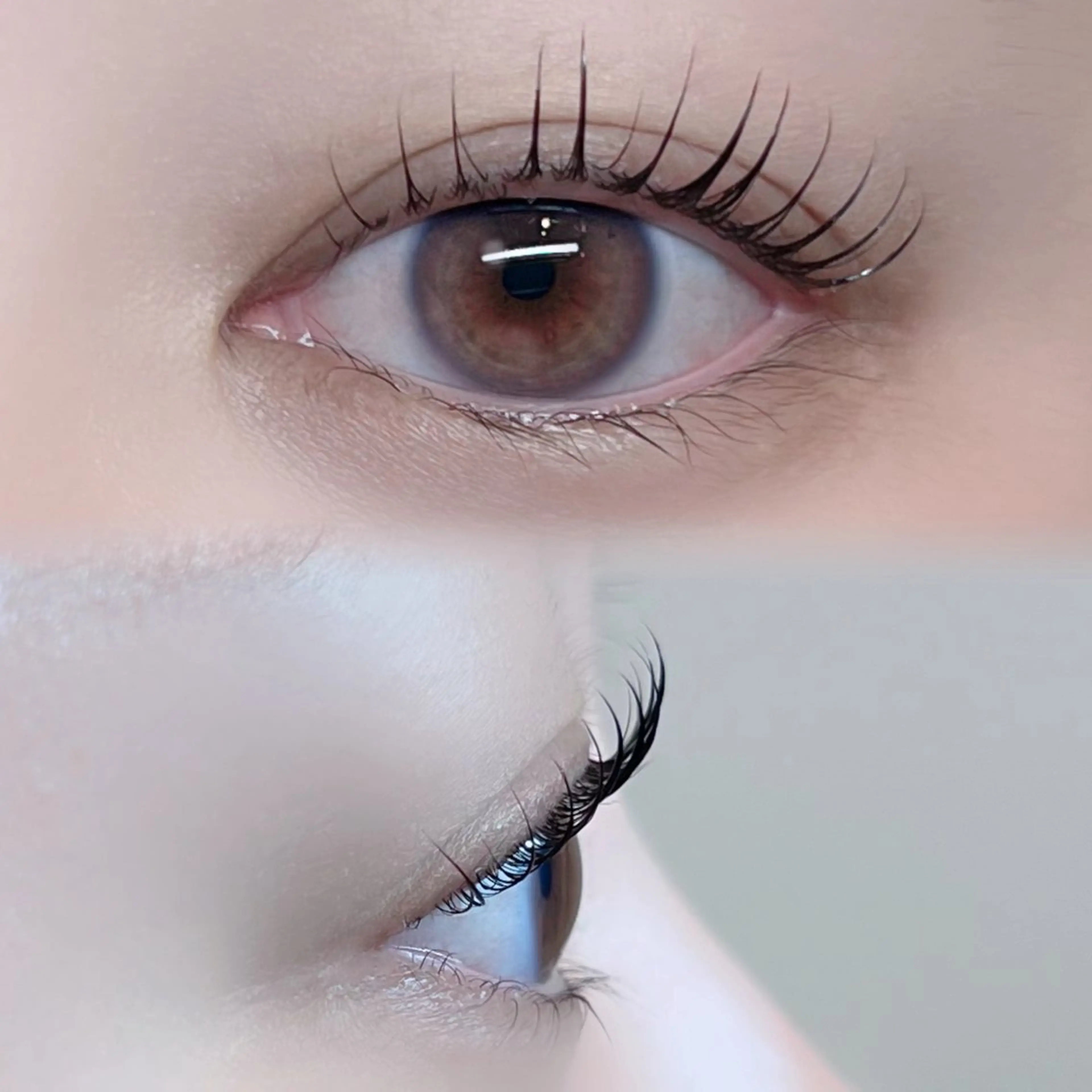 マツエク・マツパ マツパ MADRAS aikaのマツエク・マツパデザイン