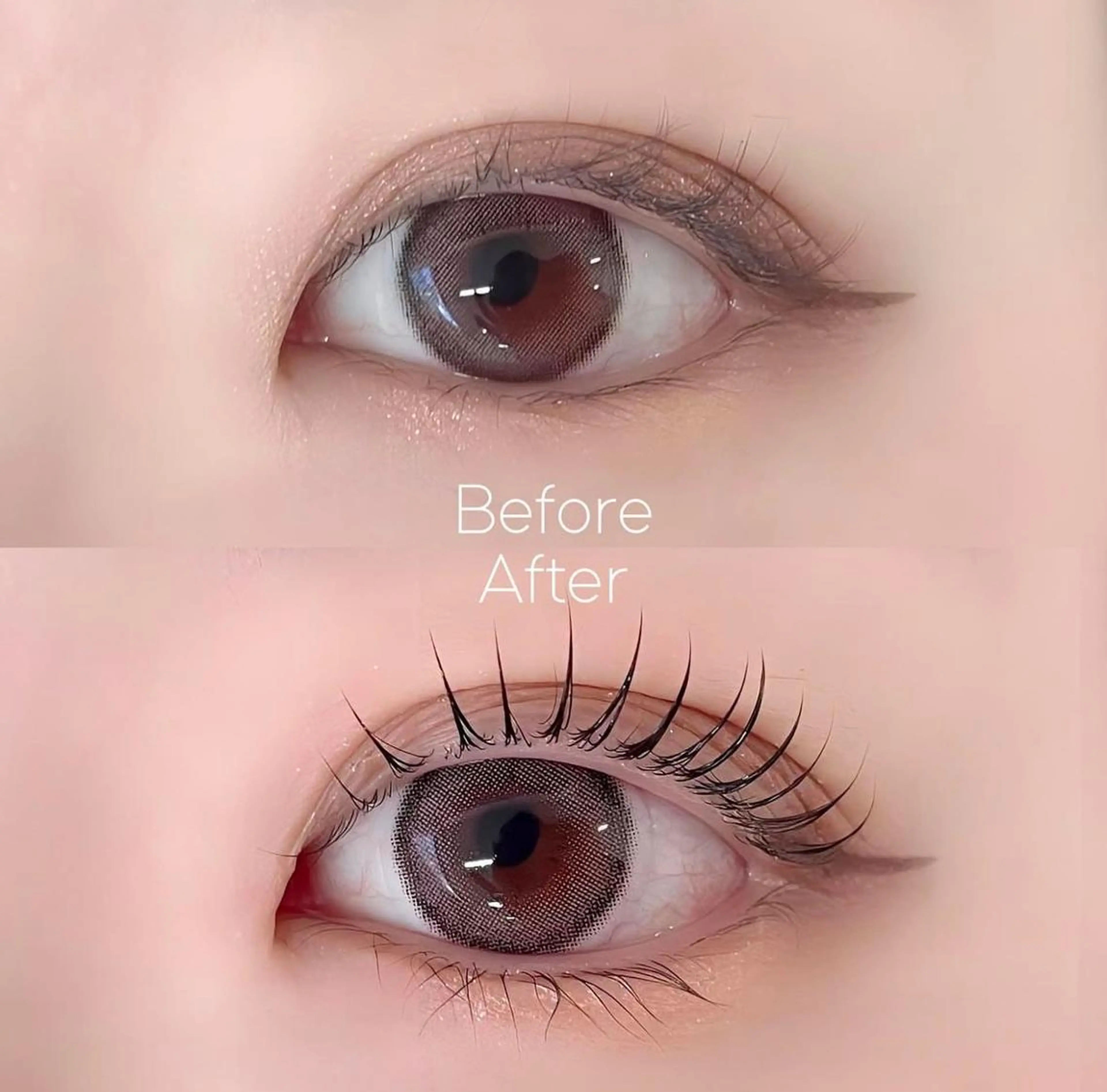 【韓国風束感まつぱ】パリジェンヌラッシュ＆コーティング付の写真