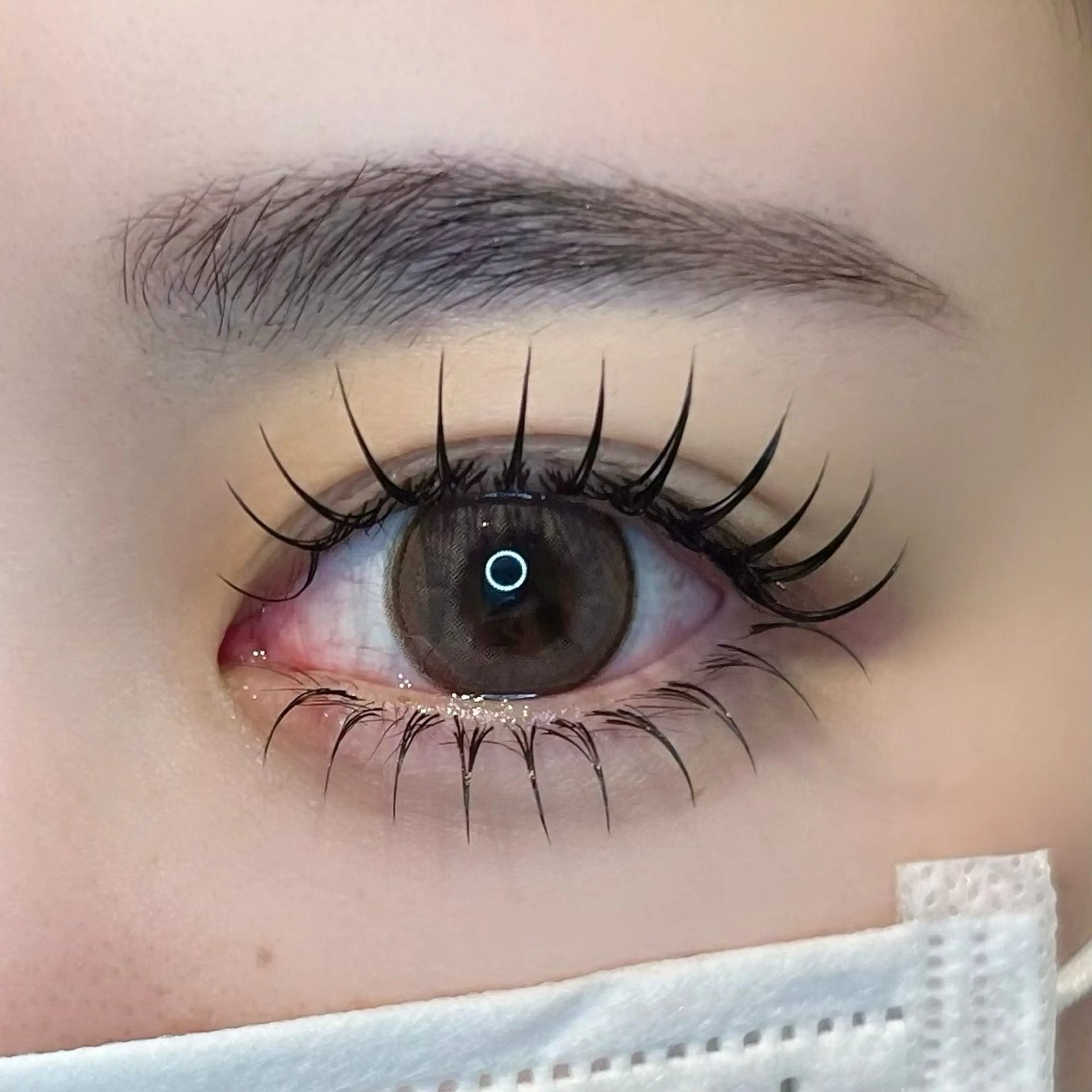 フラットラッシュ120本［オフ、コーティング込み］の写真