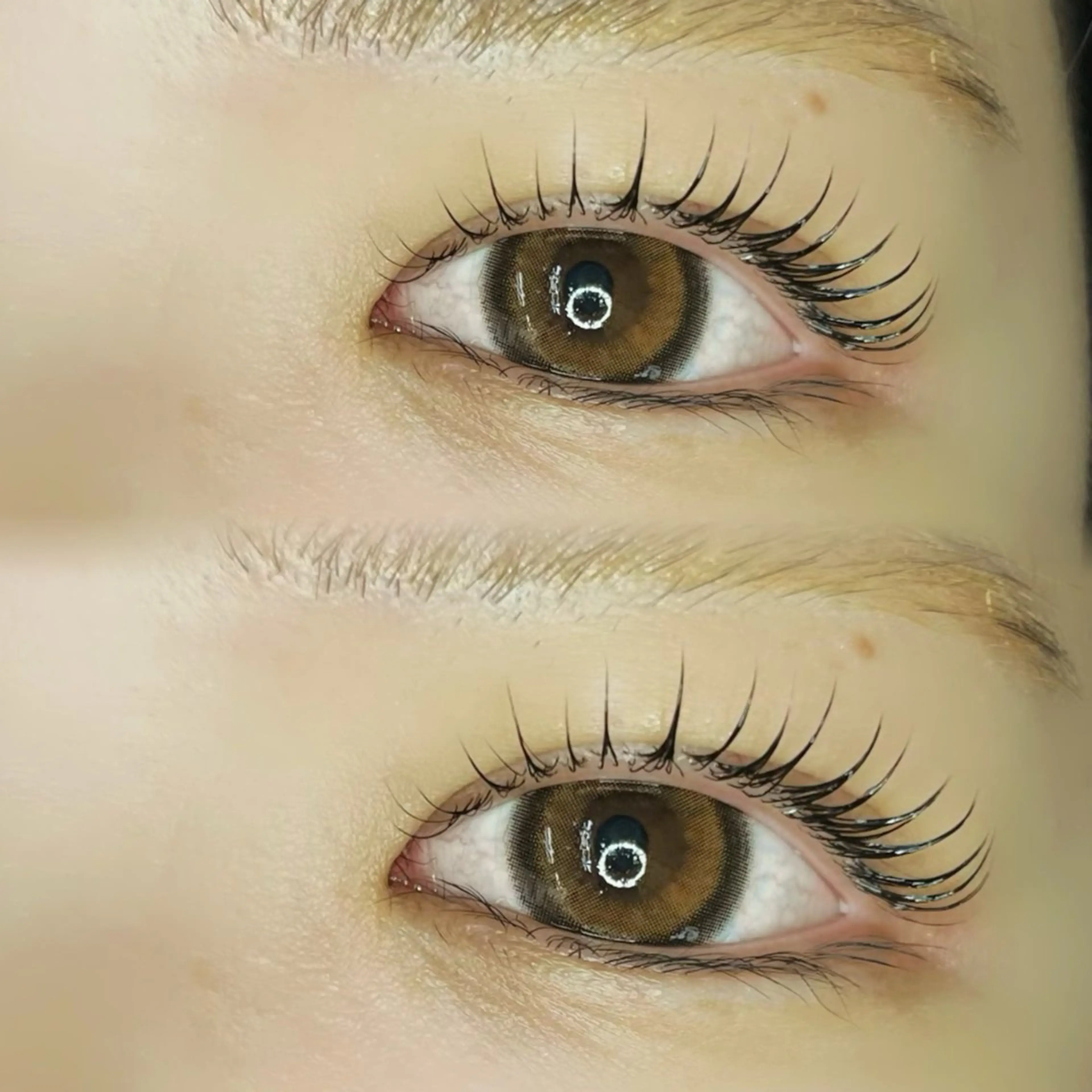 マツエク・マツパ マツパ くるるん本店 Juri🌷のマツエク・マツパデザイン