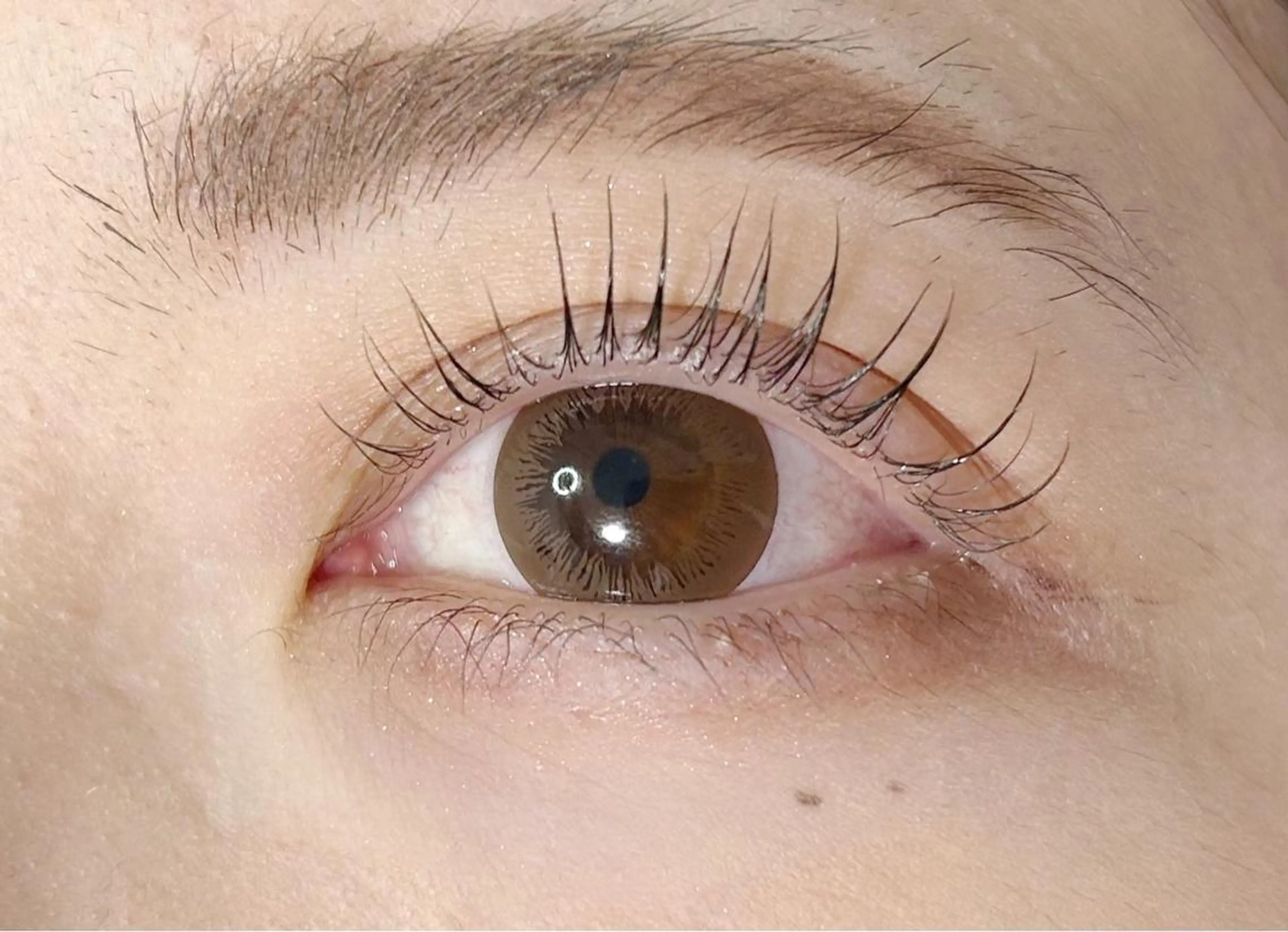 マツエク・マツパ マツパ miu. eyelashのマツエク・マツパデザイン