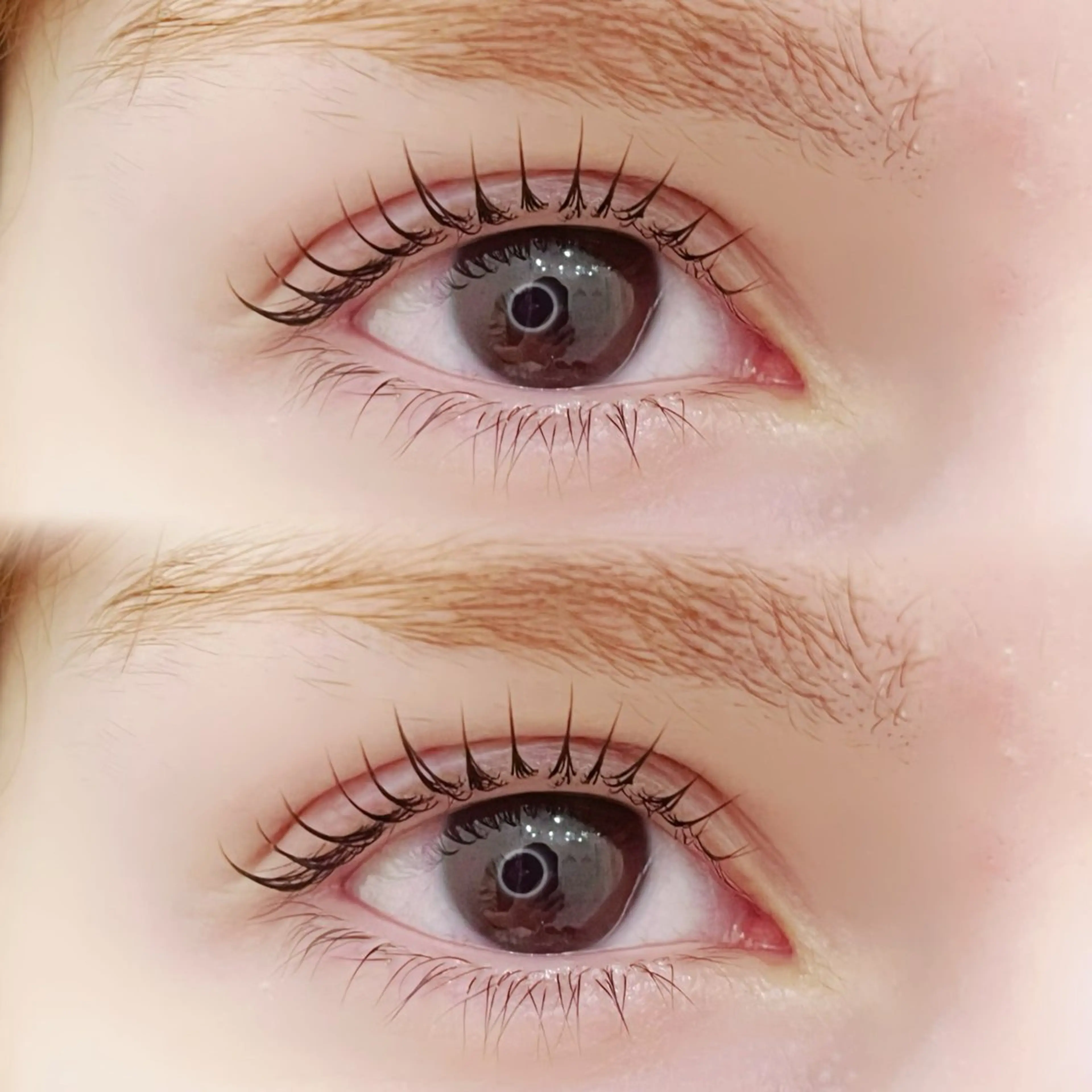 ✧︎꒰ 再来 ꒱‬✧︎ まつげパーマorパリジェンヌ🎀🫧⚠︎︎2回目以降の方の写真