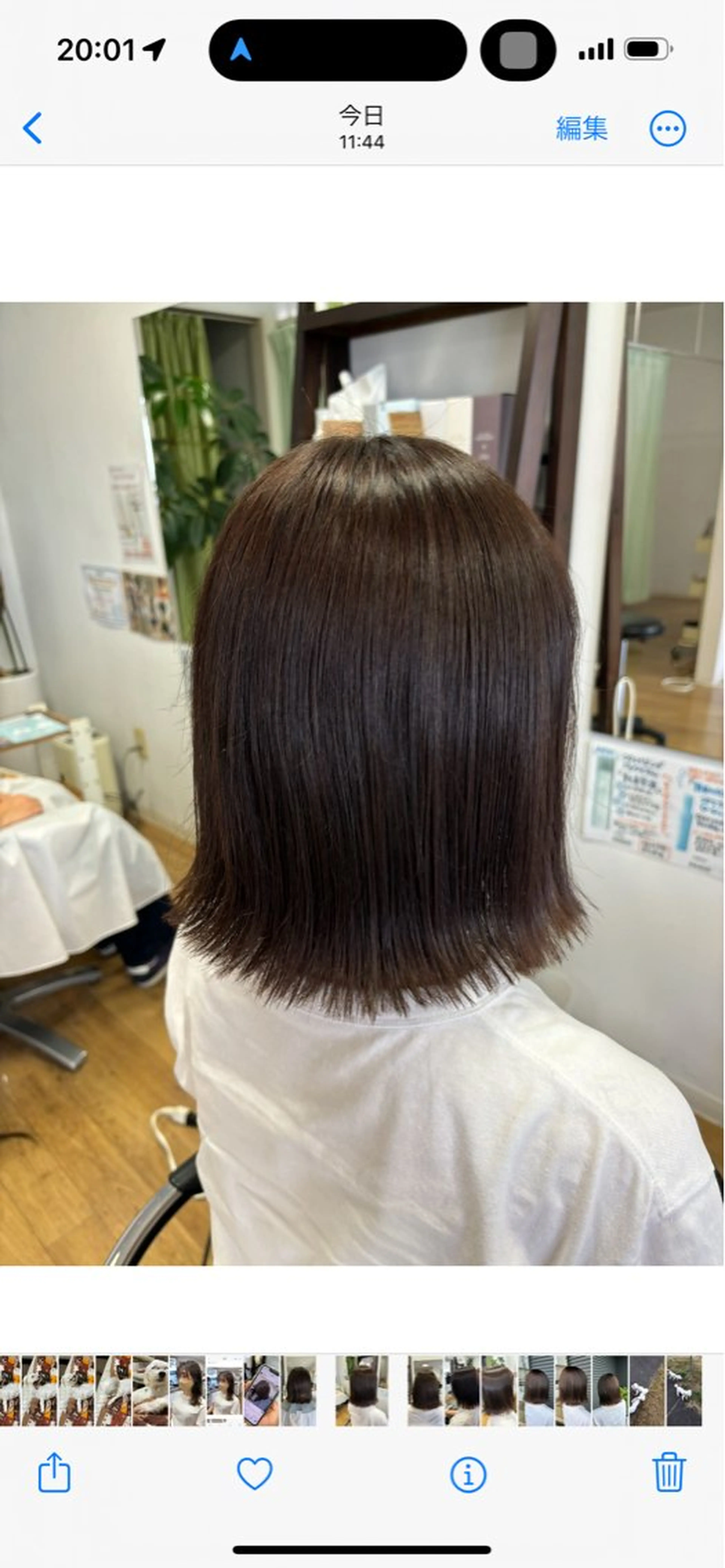 ミディアム カラー パーマ ストレートパーマ SALOWIN 岡山店所属・ボブ/艶カラー/ manaka 🥣のヘアスタイル