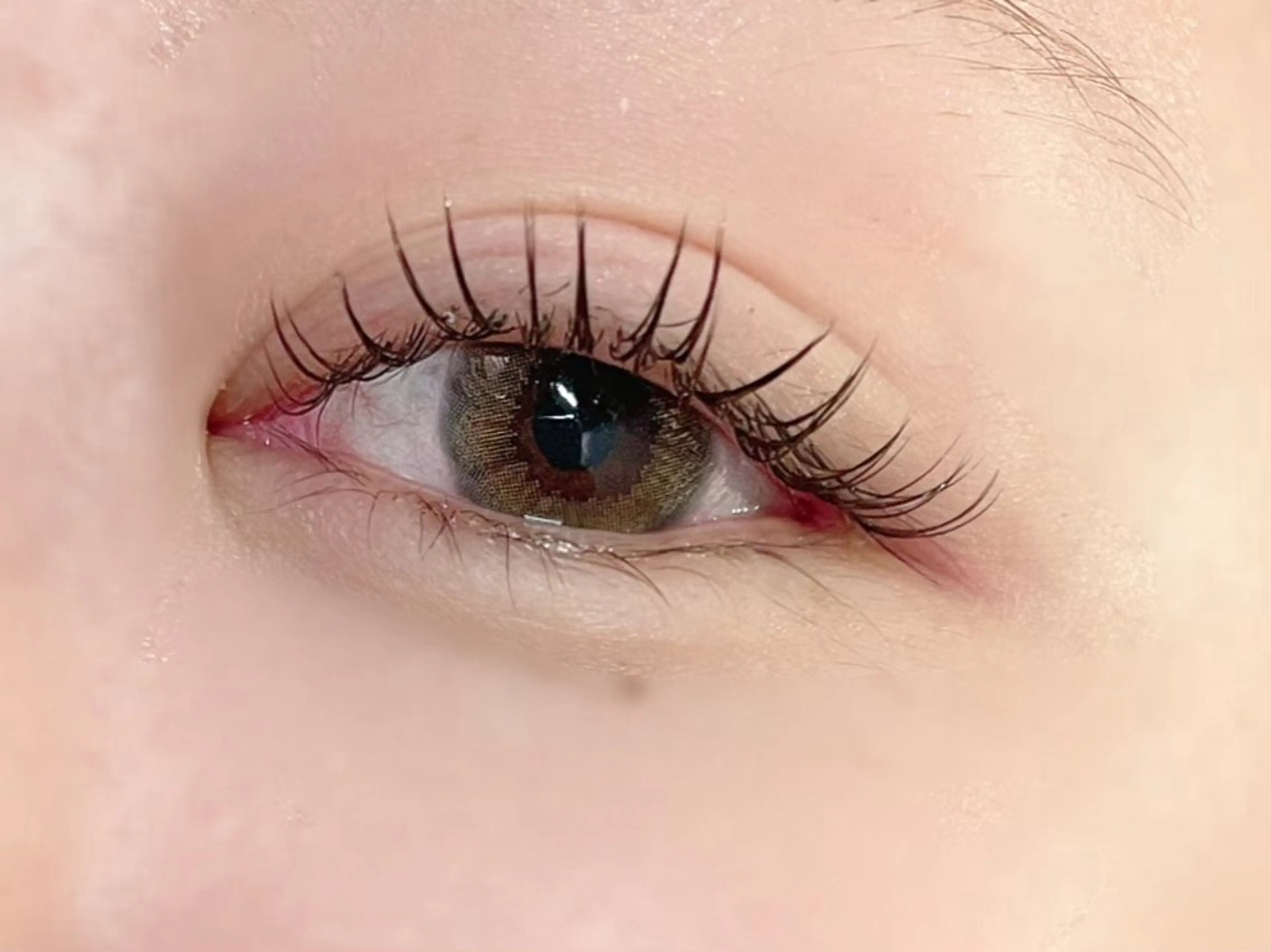 最高品質セーブルシングル100本(オフ込み)の写真