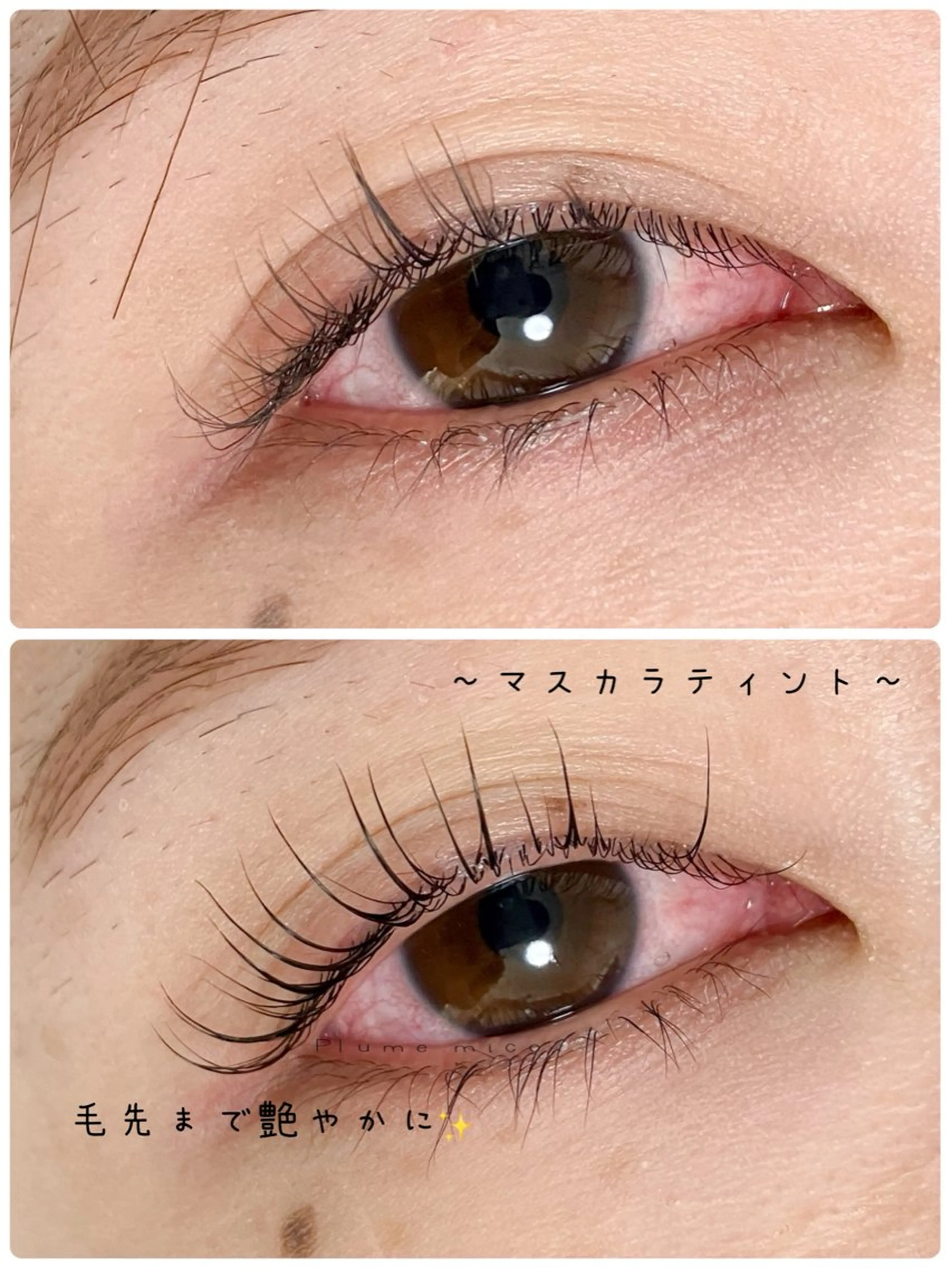 マツエク・マツパ ケラチンラッシュリフト 韓国風マツエク マツパ Plume micoのマツエク・マツパデザイン