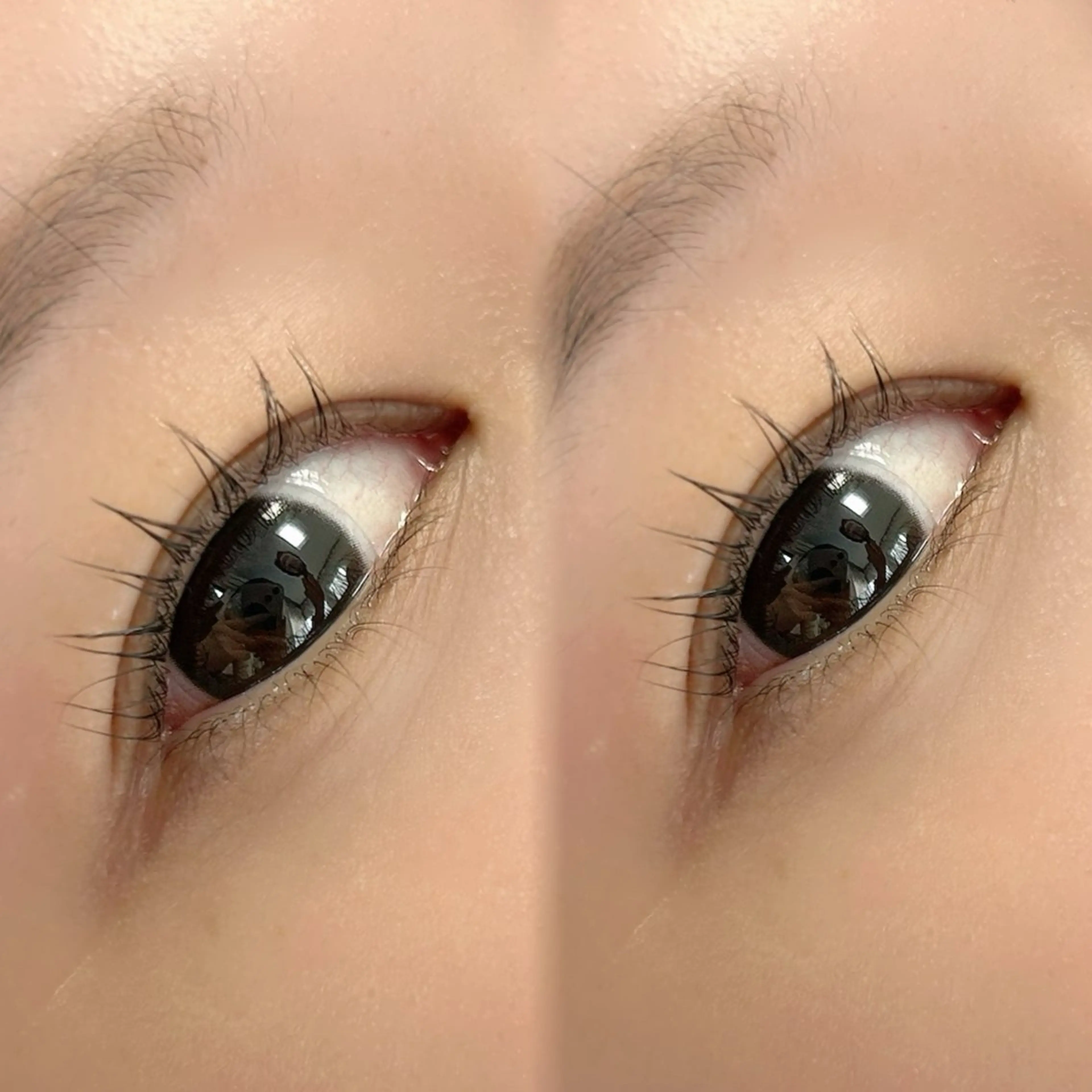 【12/26限定】トリートメント付き️🫧 まつげパーマ(上)✨ 【川口/蕨/束感仕上げ◎】の写真