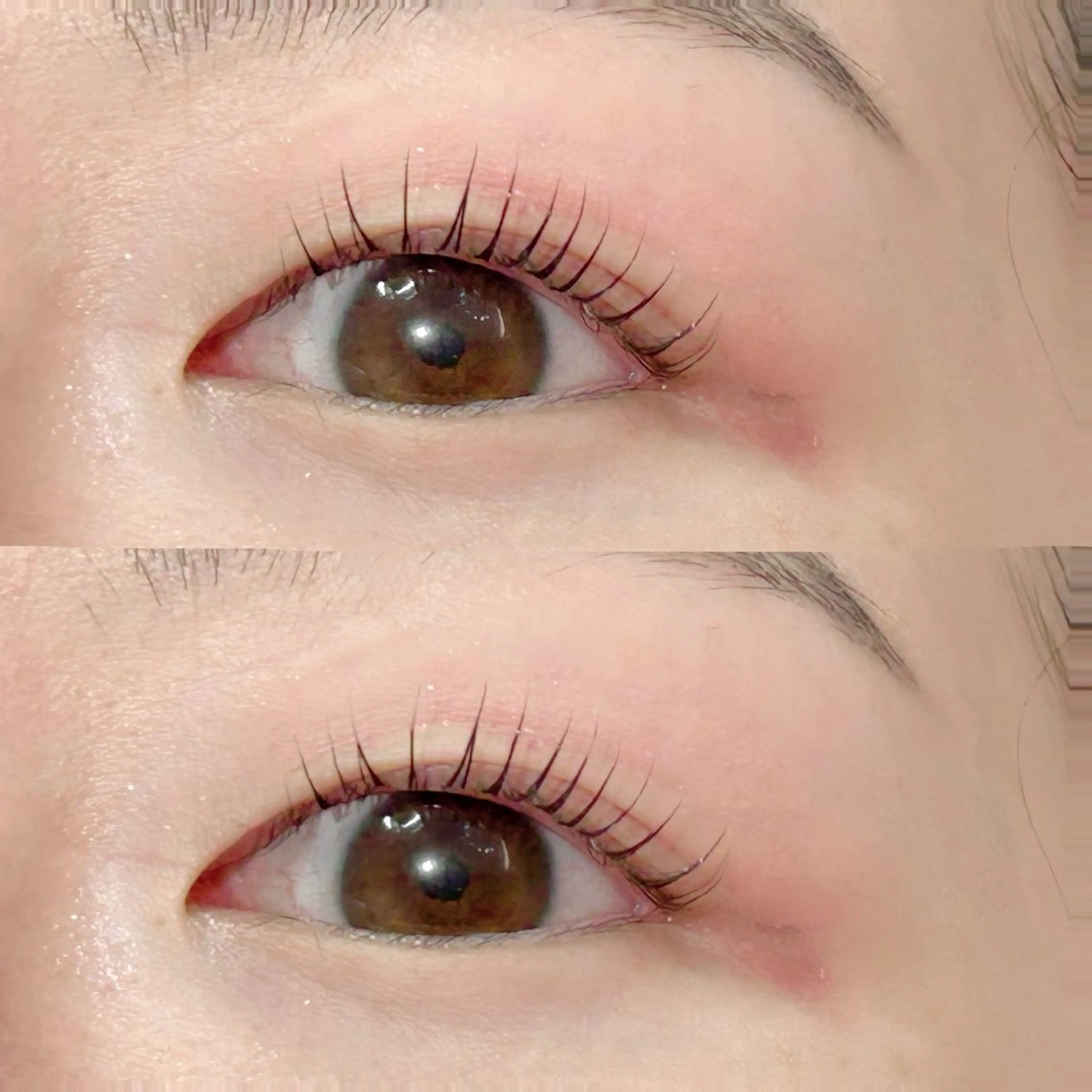 マツエク・マツパ マツパ Frances Miyamotoのマツエク・マツパデザイン