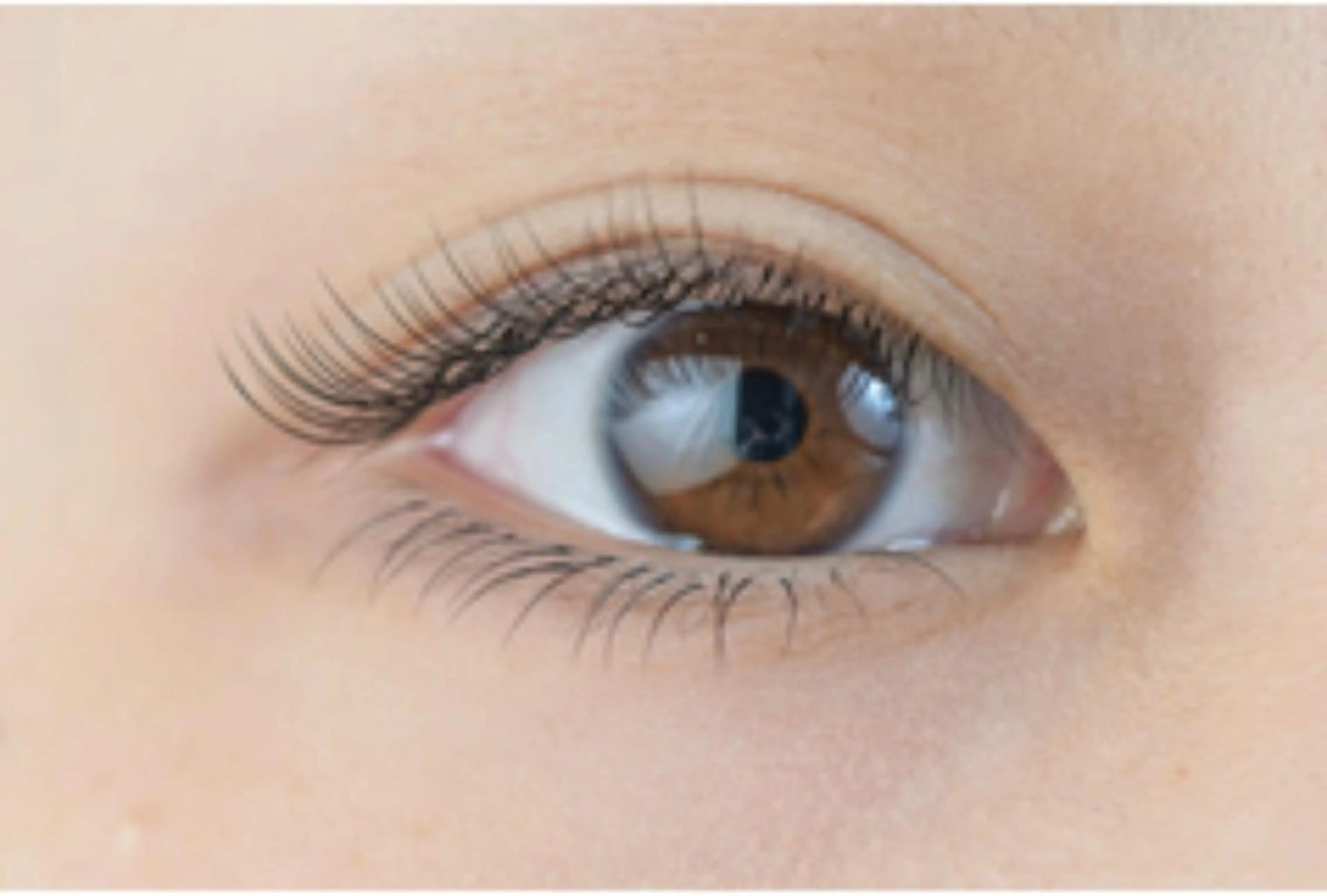 フラットラッシュエクステ130本まで！brown変更＋¥1100の写真