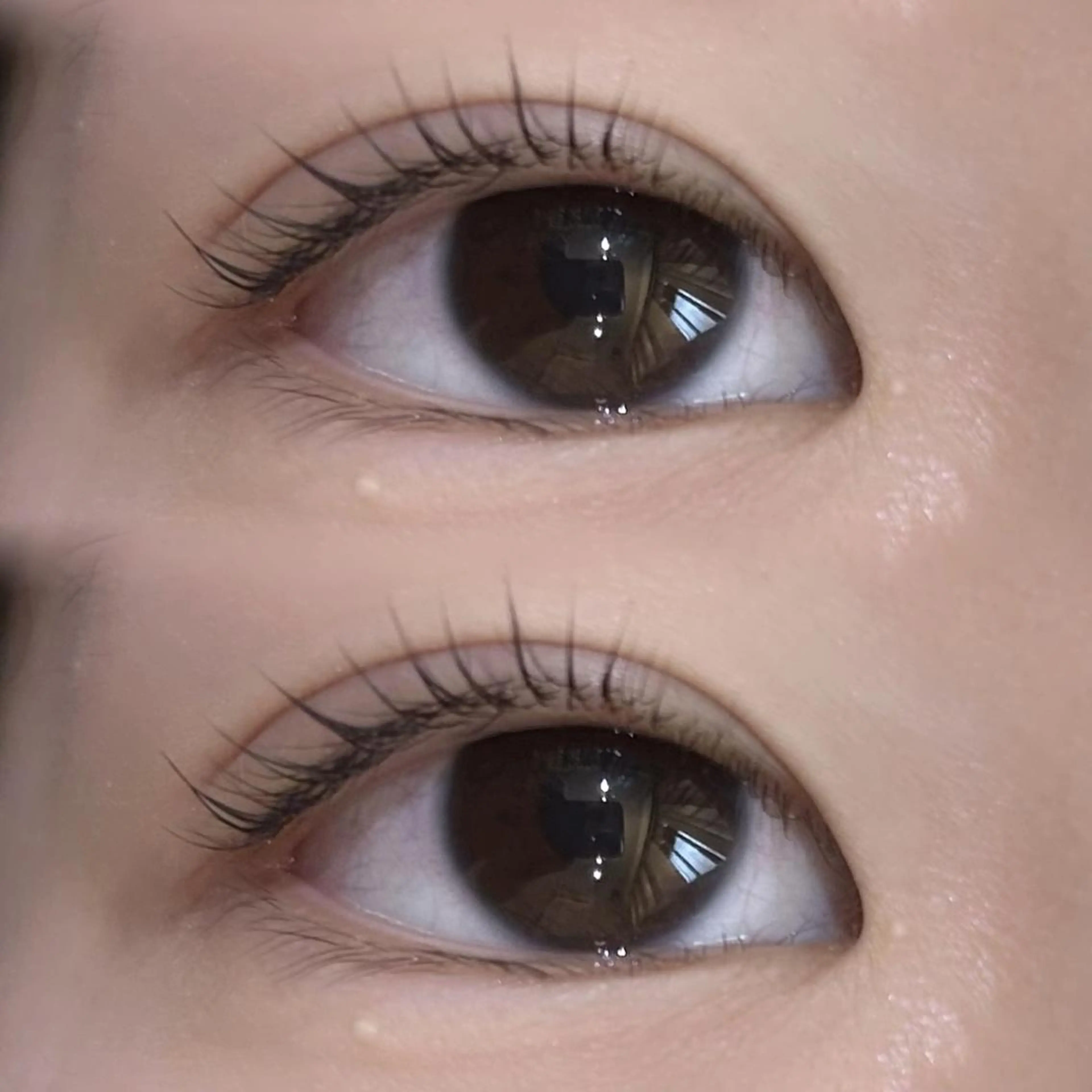 マツエク・マツパ 🦢✨fein. 原宿店✨🤍の眉毛・アイブロウイメージ