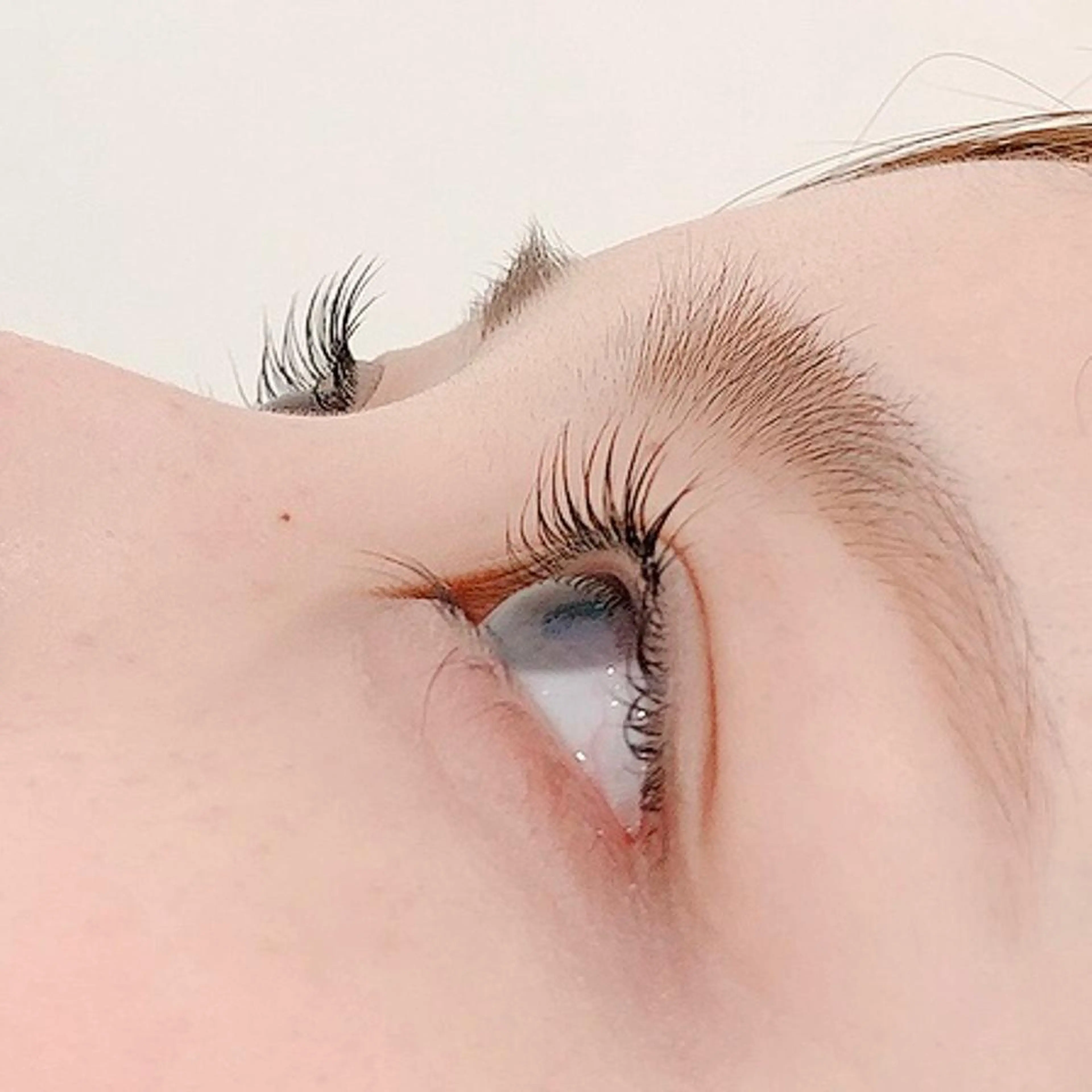 マツエク・マツパ bunny eyes 有本のマツエク・マツパデザイン