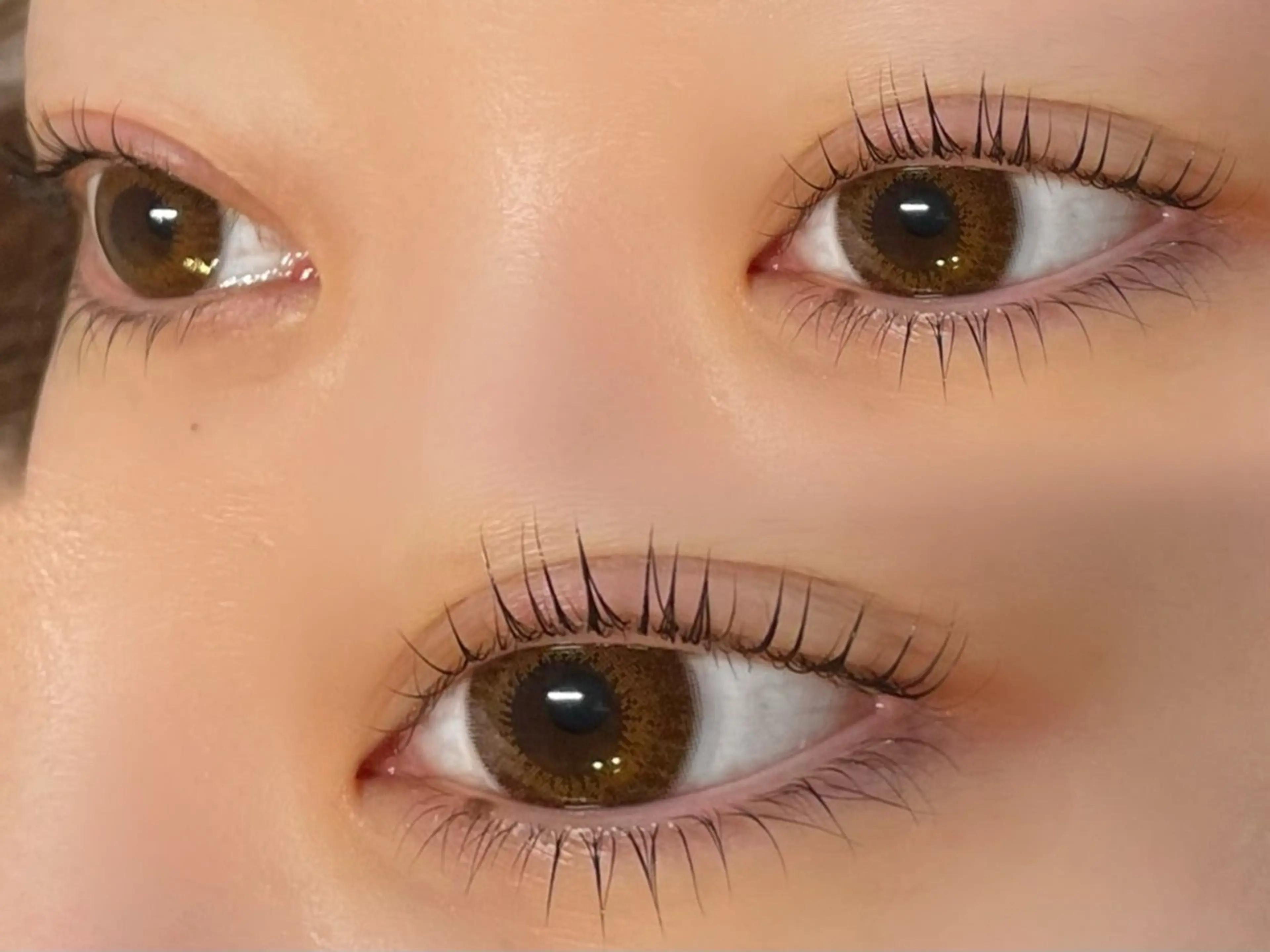 選べる！ラッシュリフトorパリジェンヌ上下🕊️🎀の写真