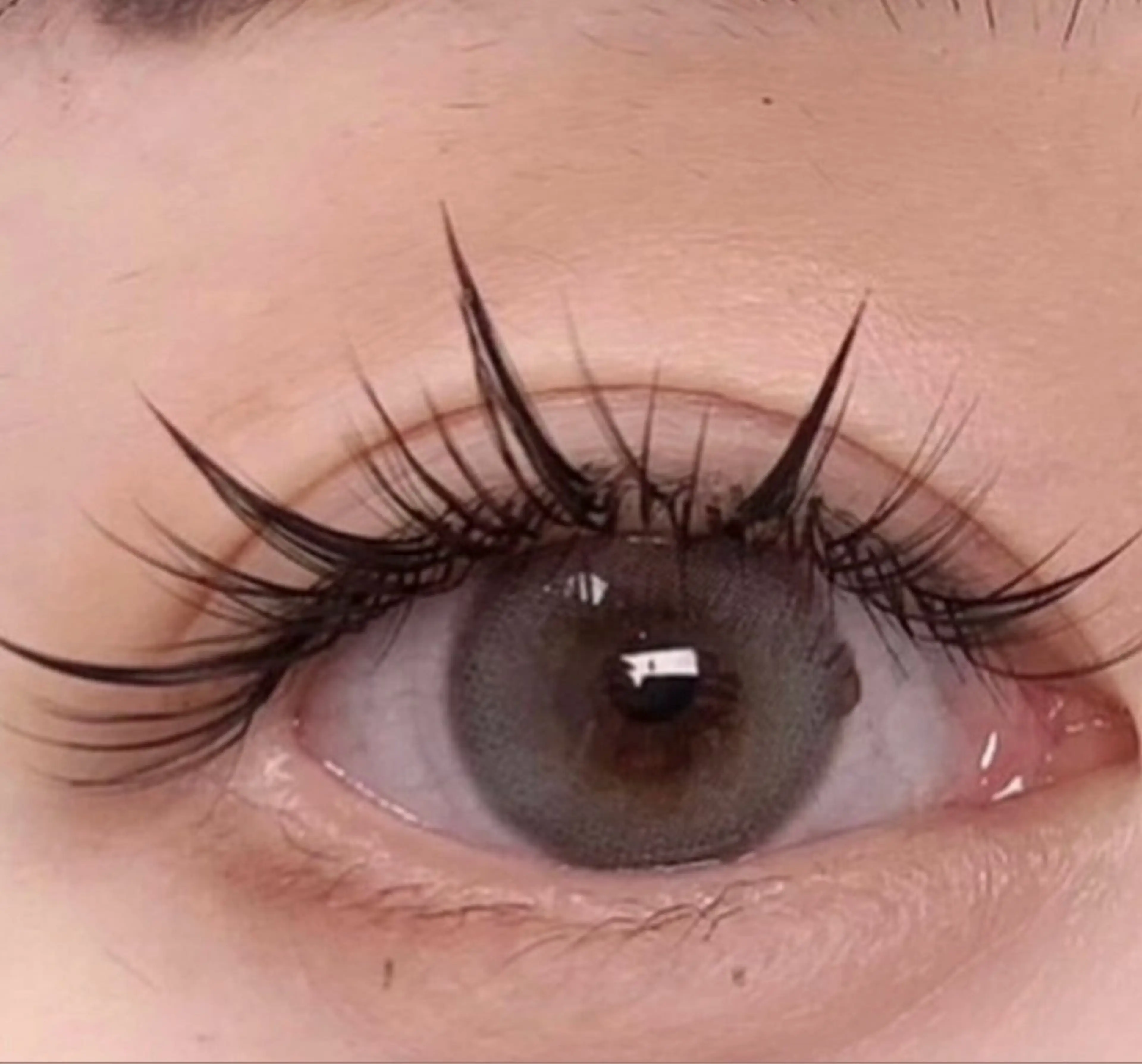 【Hybrid ボリュームラッシュ】話題沸騰★ワンホンナチュラル 100束★オフ込みの写真