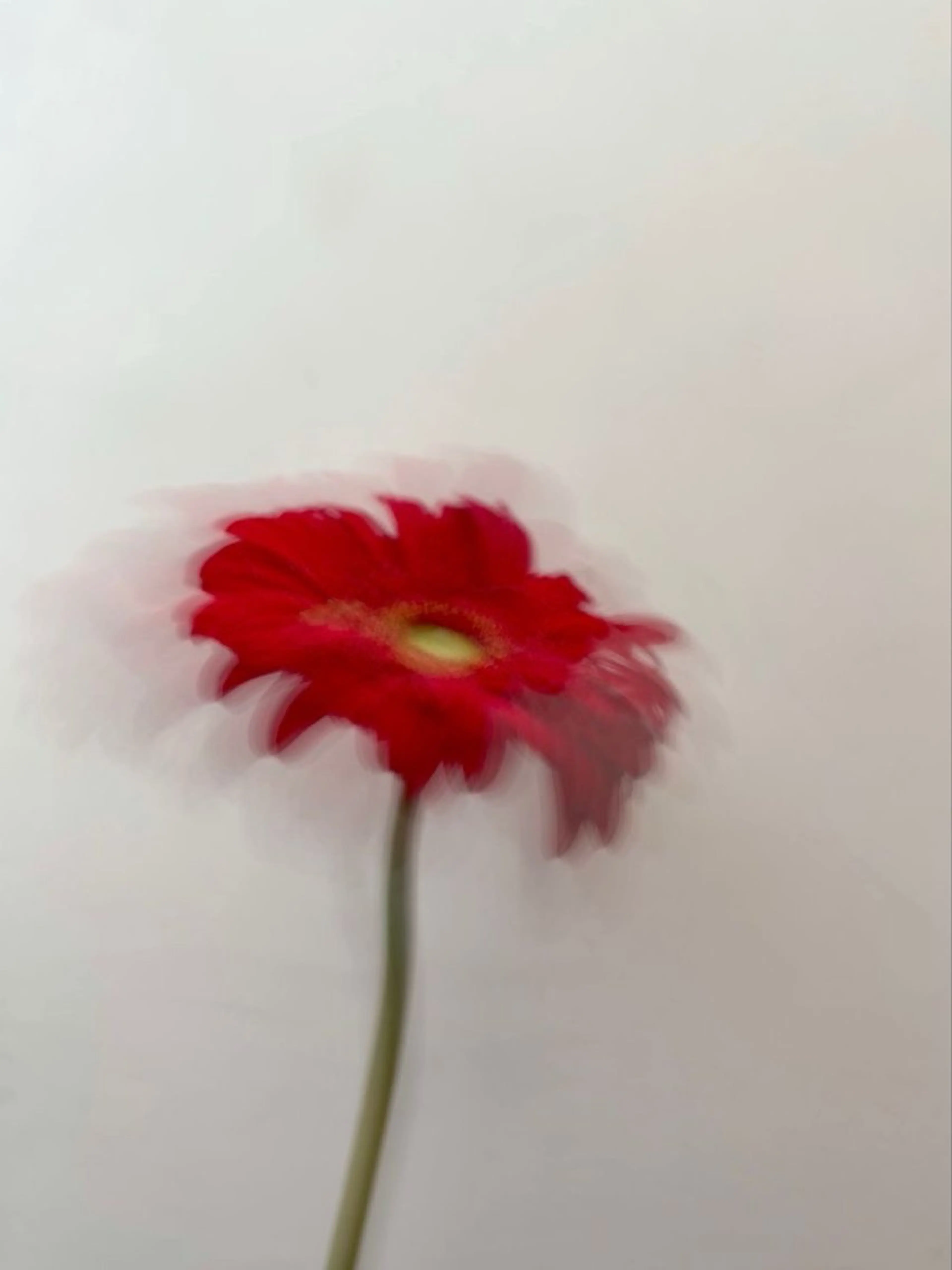 オト/レイヤー/ Wカラー/メンズのヘアスタイル