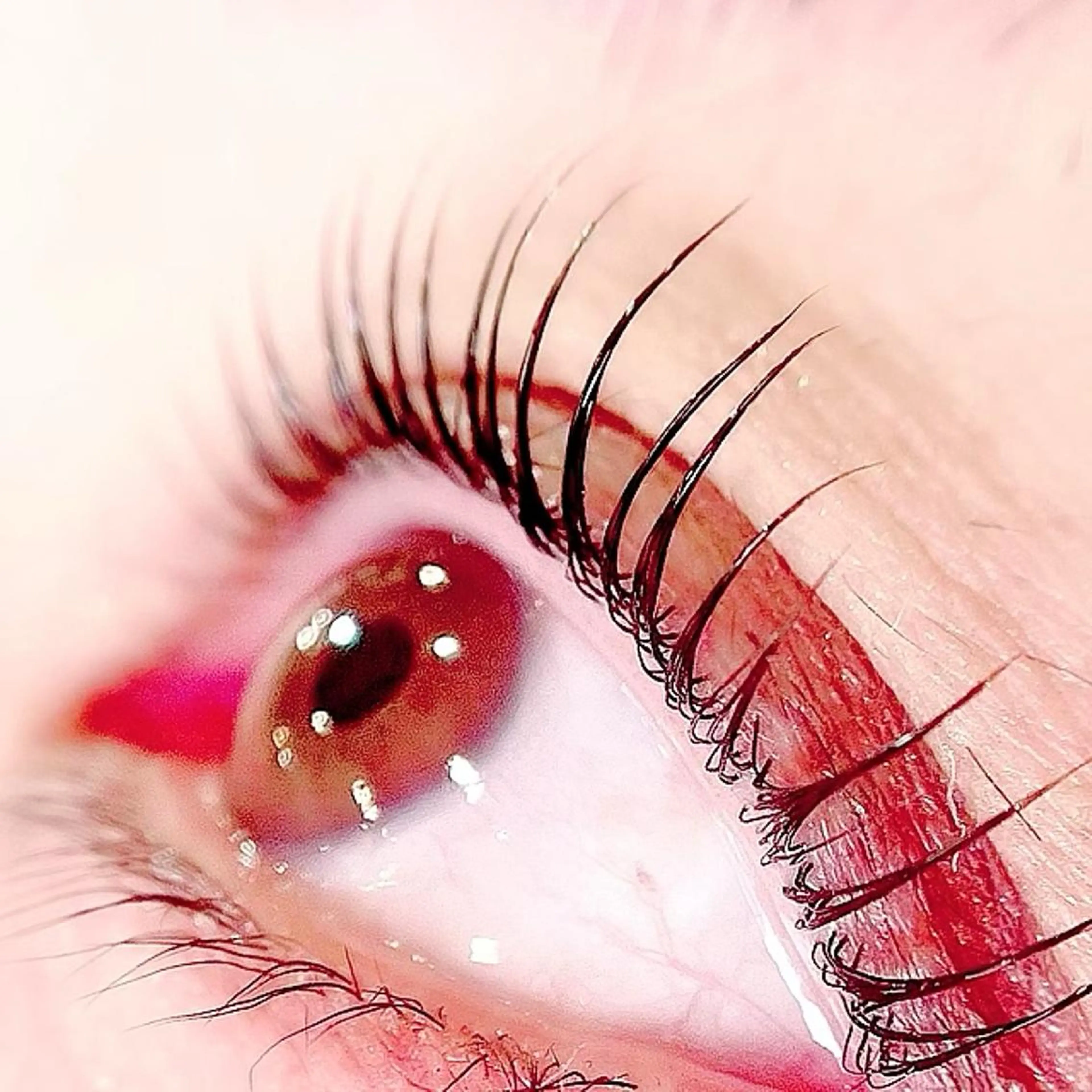 スペシャルケアリフト(ケラチントリートメント＋ヒト幹細胞アイシート＋ラッシュリフト＋美容液コーティング仕上げ)の写真