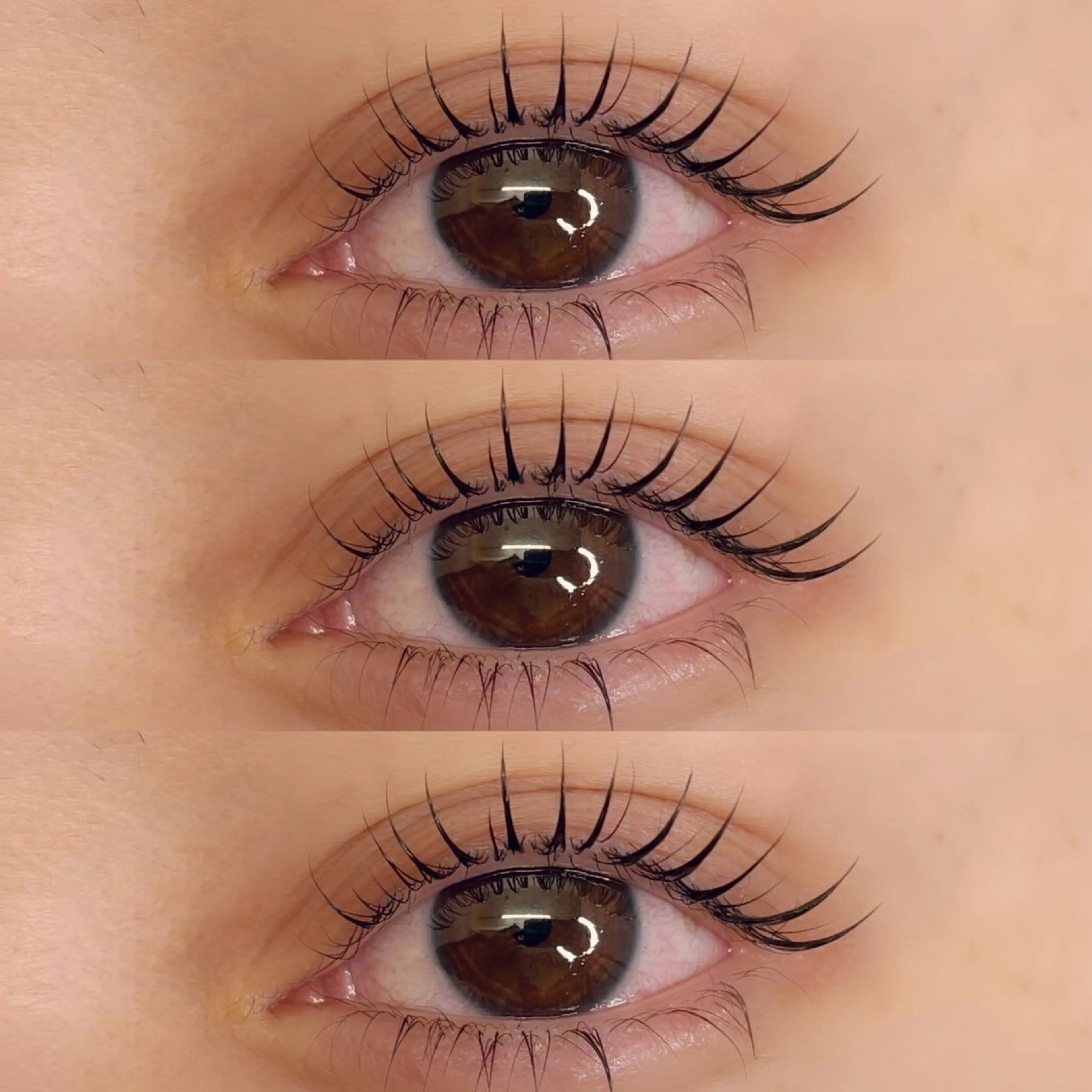 パーマ マツパ Arva 【Leia】のマツエク・マツパデザイン