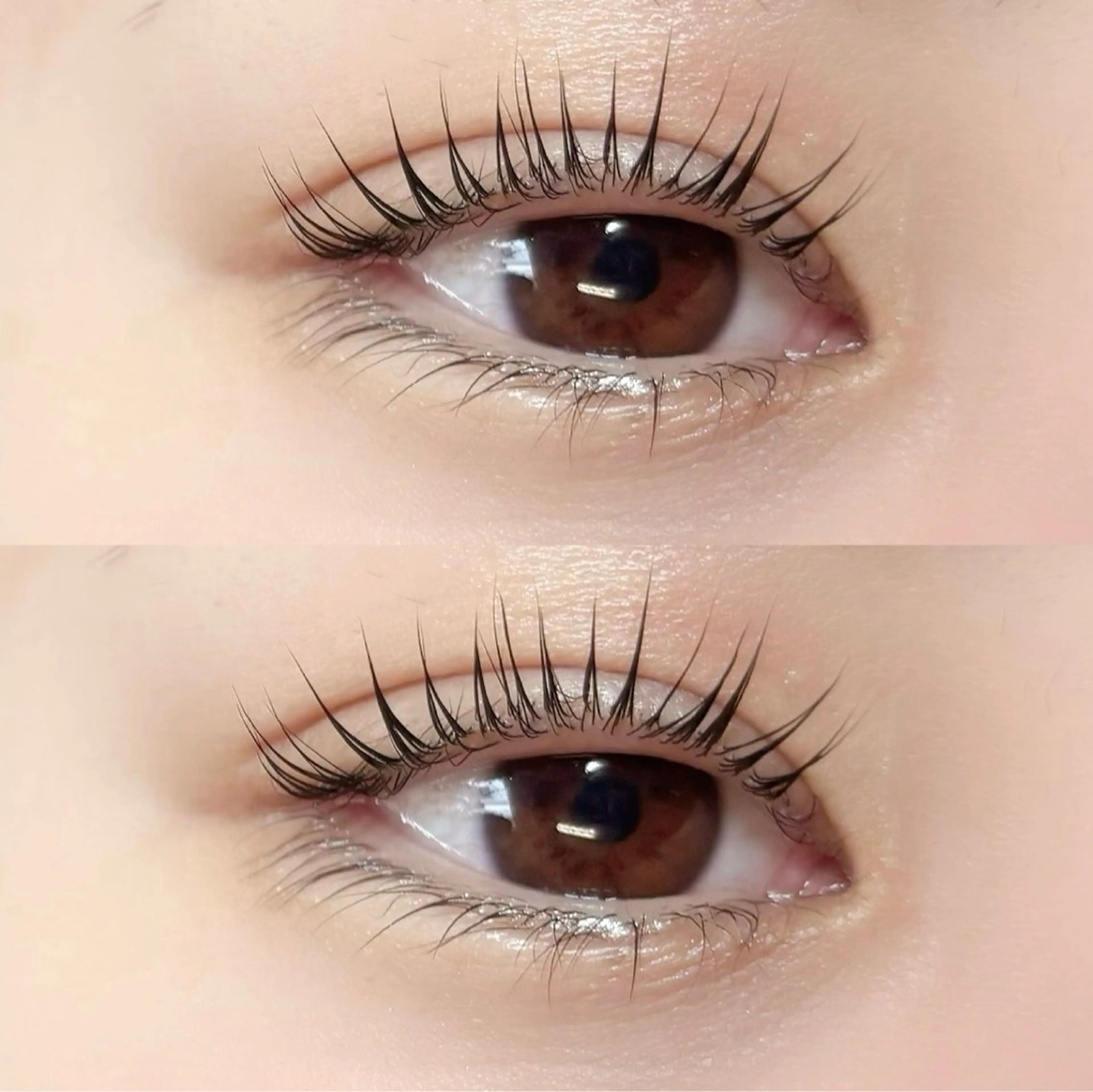 マツエク・マツパ nicott 松山のマツエク・マツパデザイン