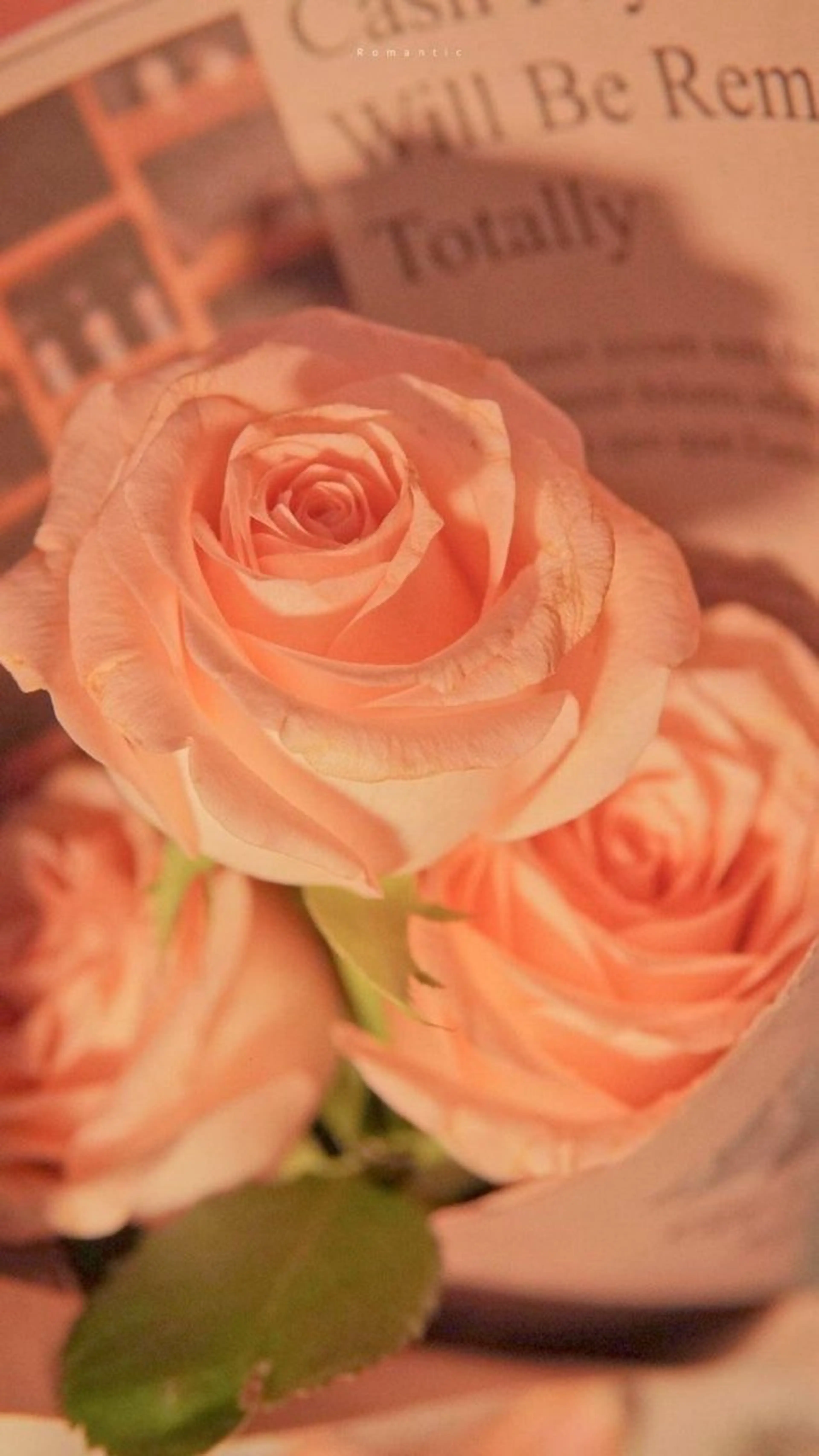 Bianca 銀座 Hinanoのネイルデザイン