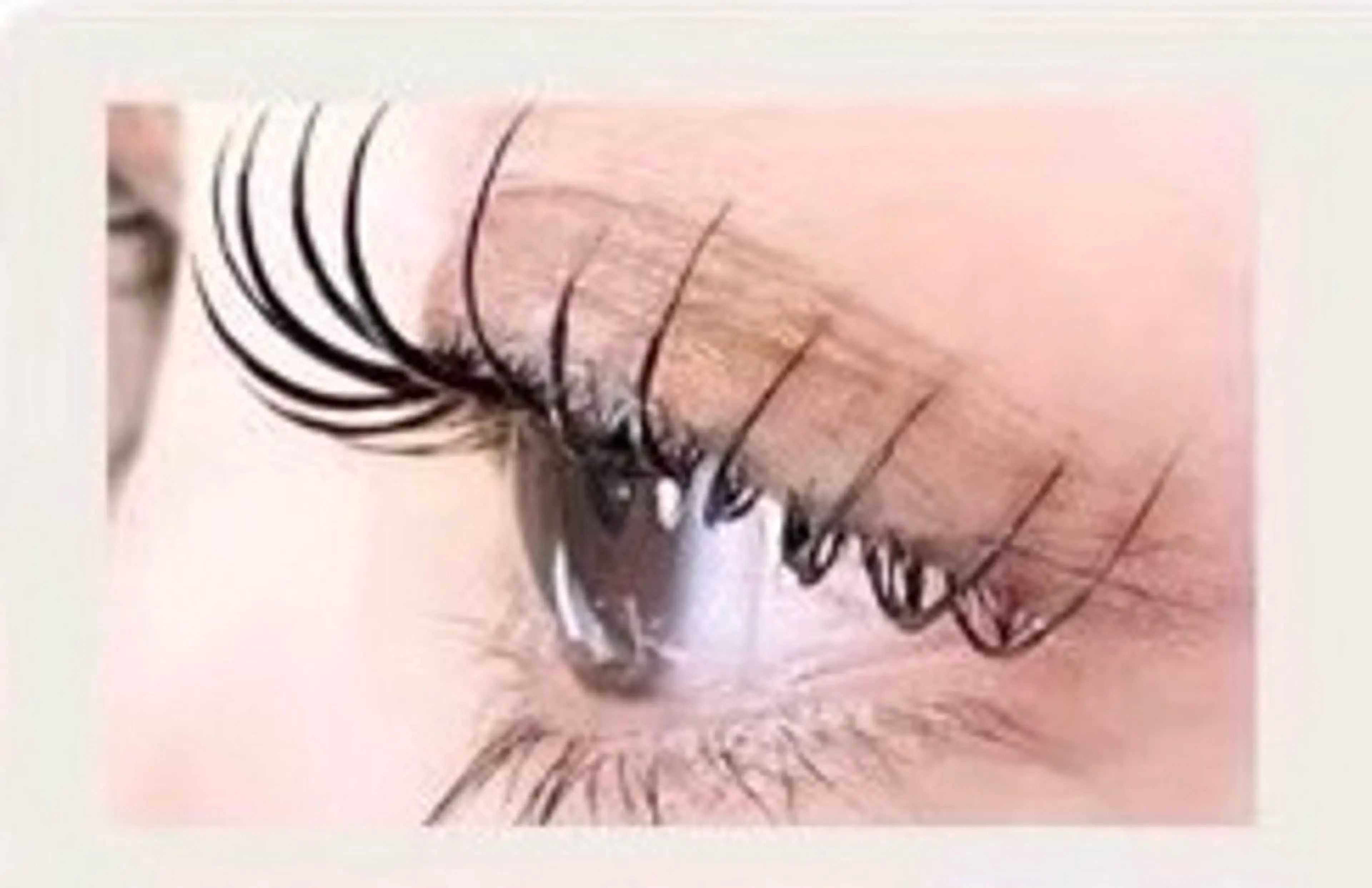 マツエク・マツパ roseosnow 🫧YUIKAのマツエク・マツパデザイン