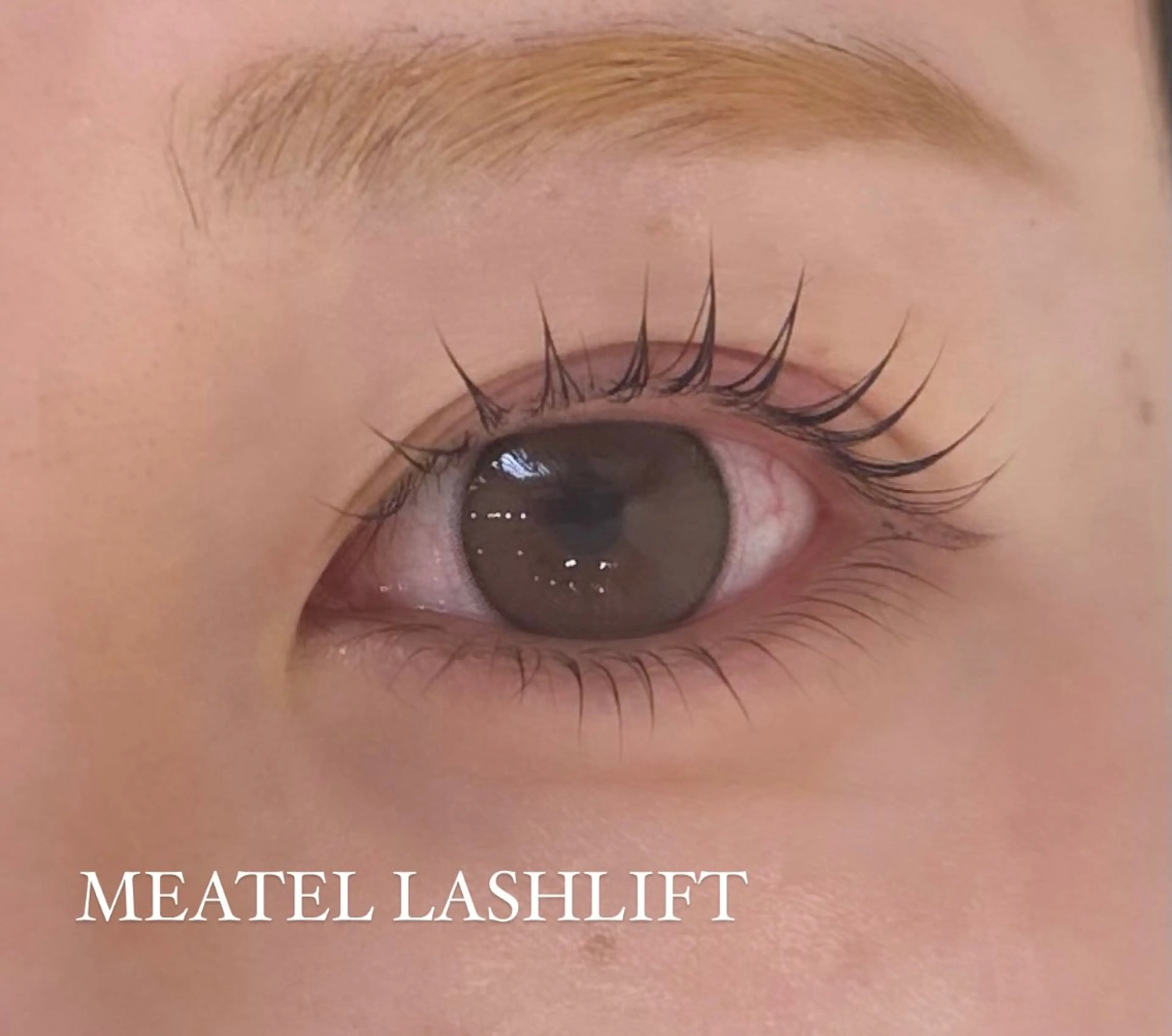 💫期間限定💫　パリジェンヌor選べるまつ毛パーマ上下 ¥4.480の写真