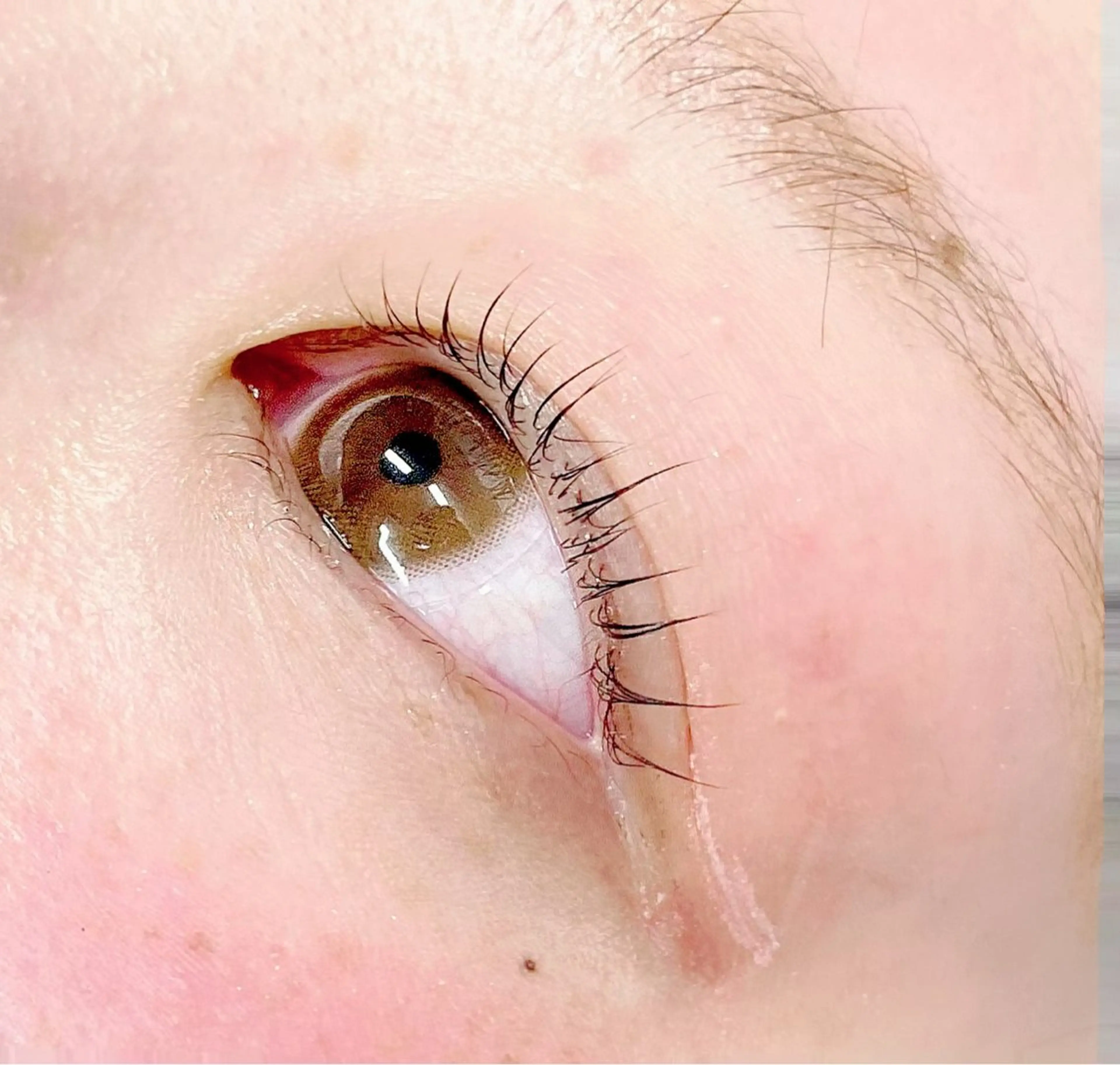 マツエク・マツパ アミーラ所属・Amira/アミーラ YU-KA🤍のマツエク・マツパデザイン