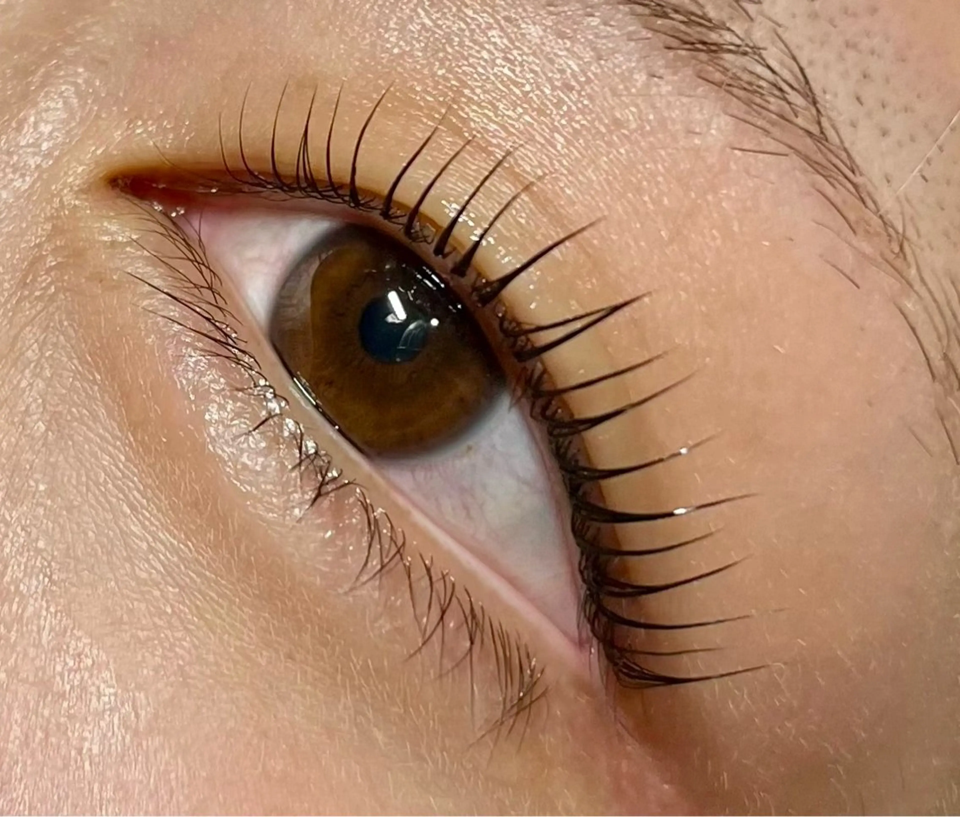 ╲ 人気NO.1💘 ╱まつげパーマ(上)＆トリートメント付きの写真