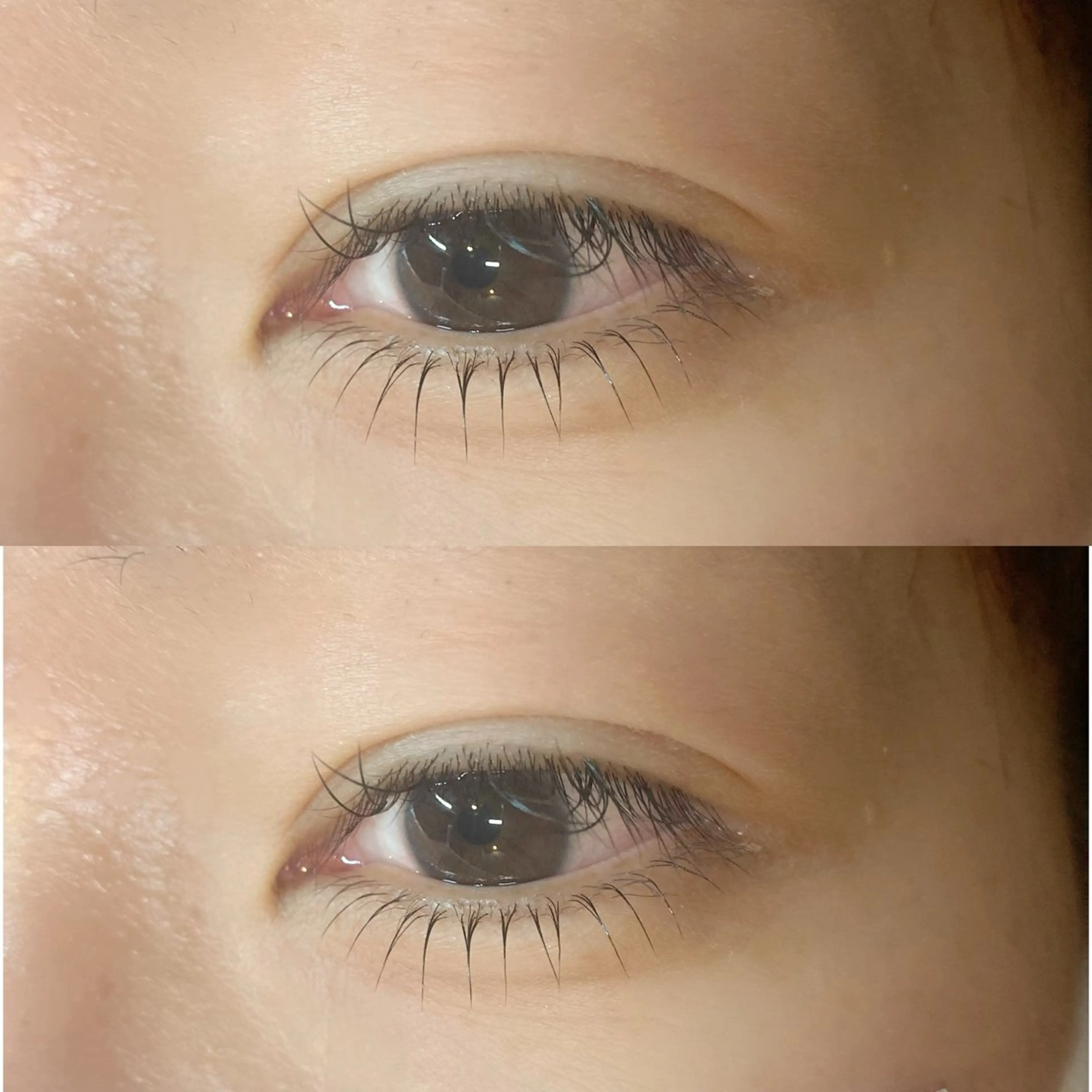 【下まつ毛パーマ】コーティング仕上げ🌼の写真