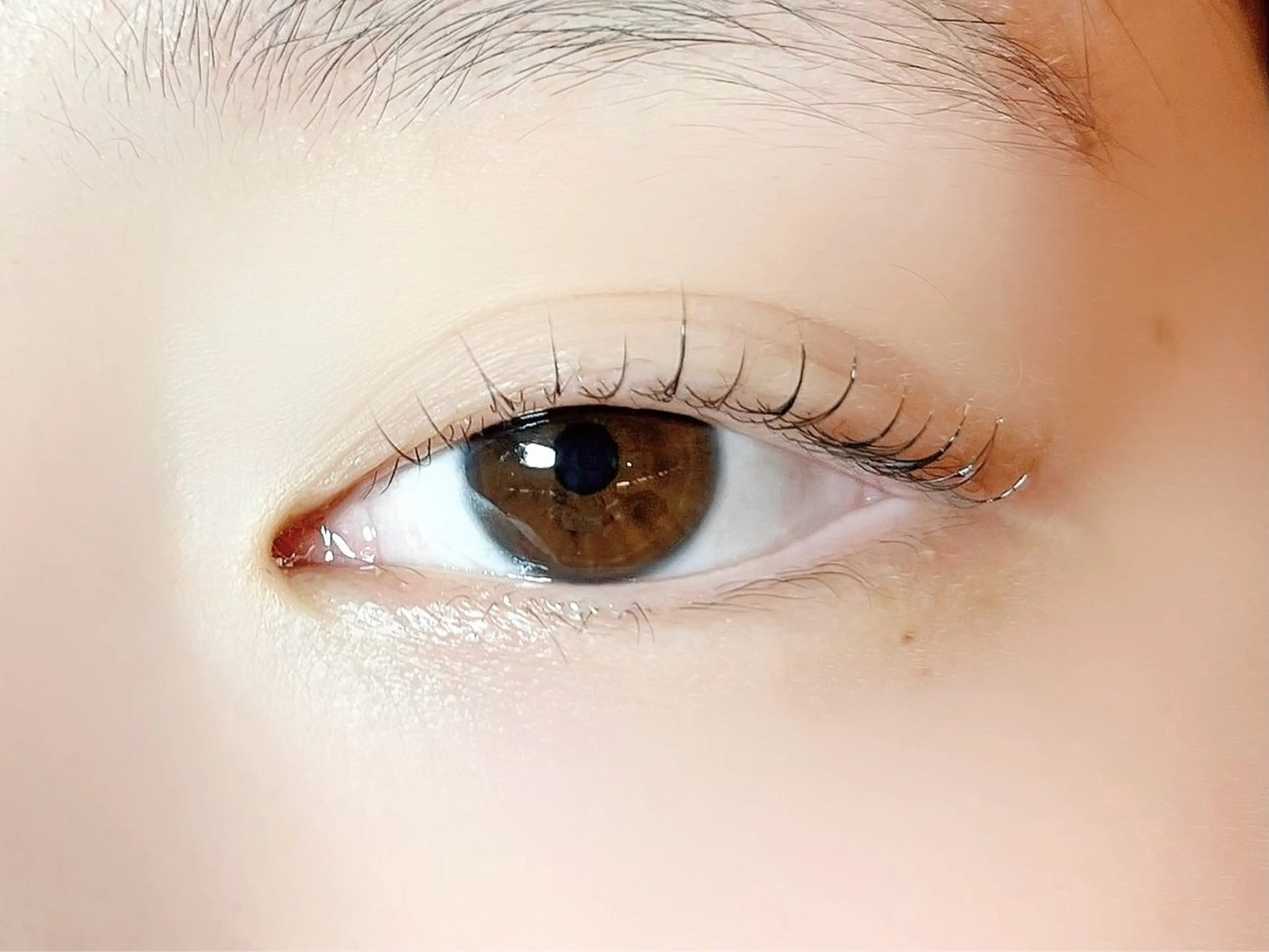 マツエク・マツパ ナチュラル sola: neolive熊田のマツエク・マツパデザイン