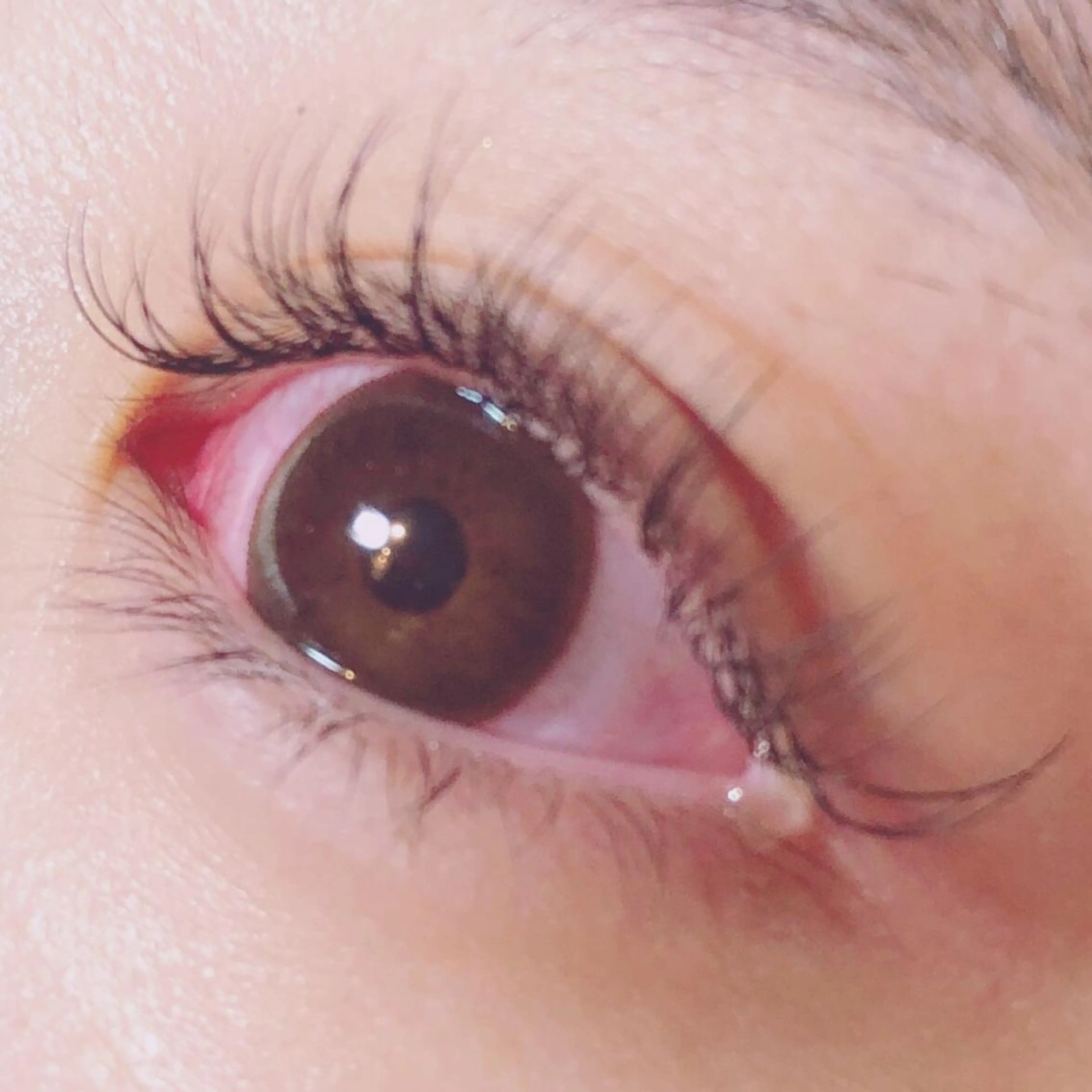 マツエク・マツパ nekoRu アイラッシュのマツエク・マツパデザイン