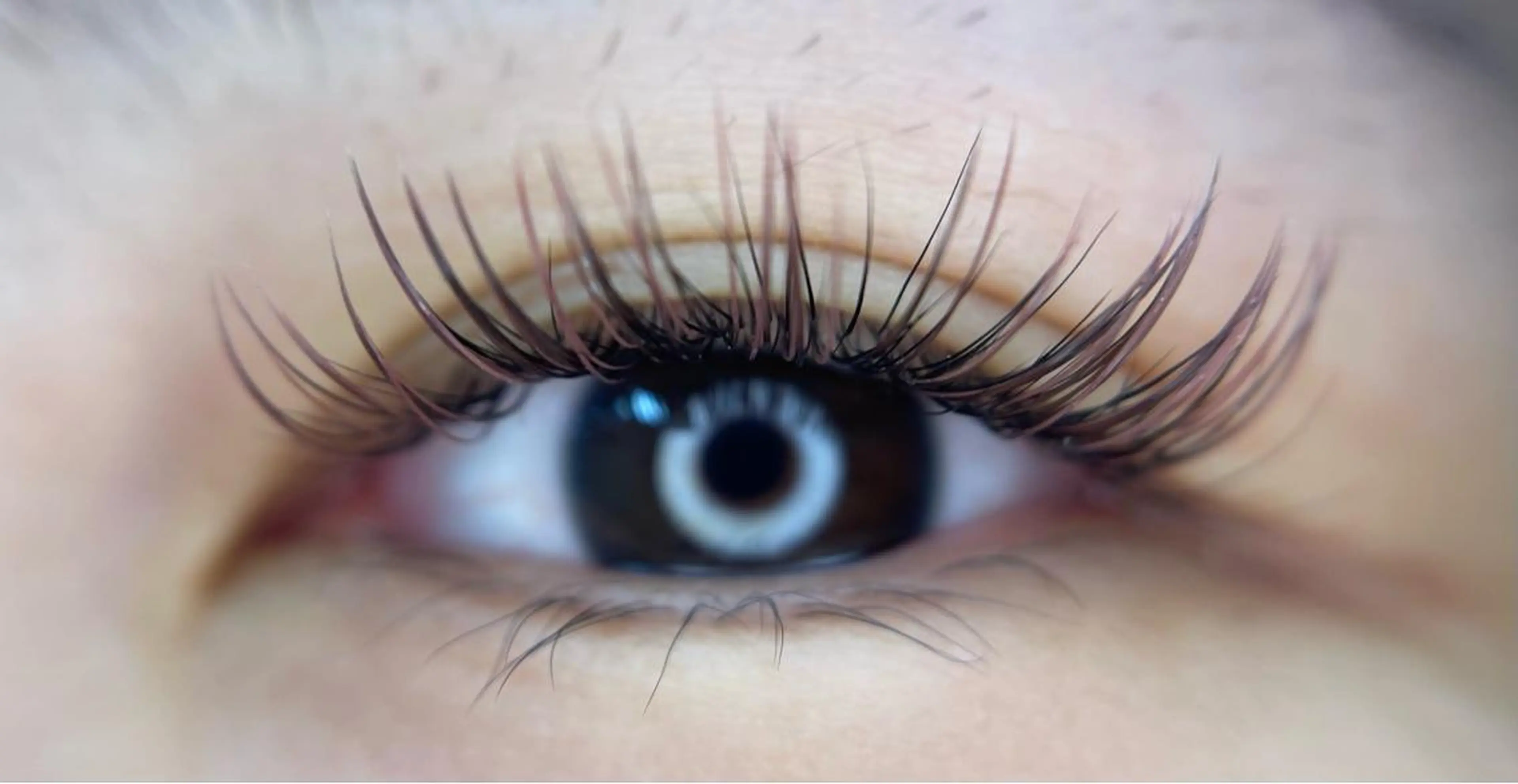 マツエク・マツパ salone Regina所属・Regina（レジー ナ）nanahoのマツエク・マツパデザイン