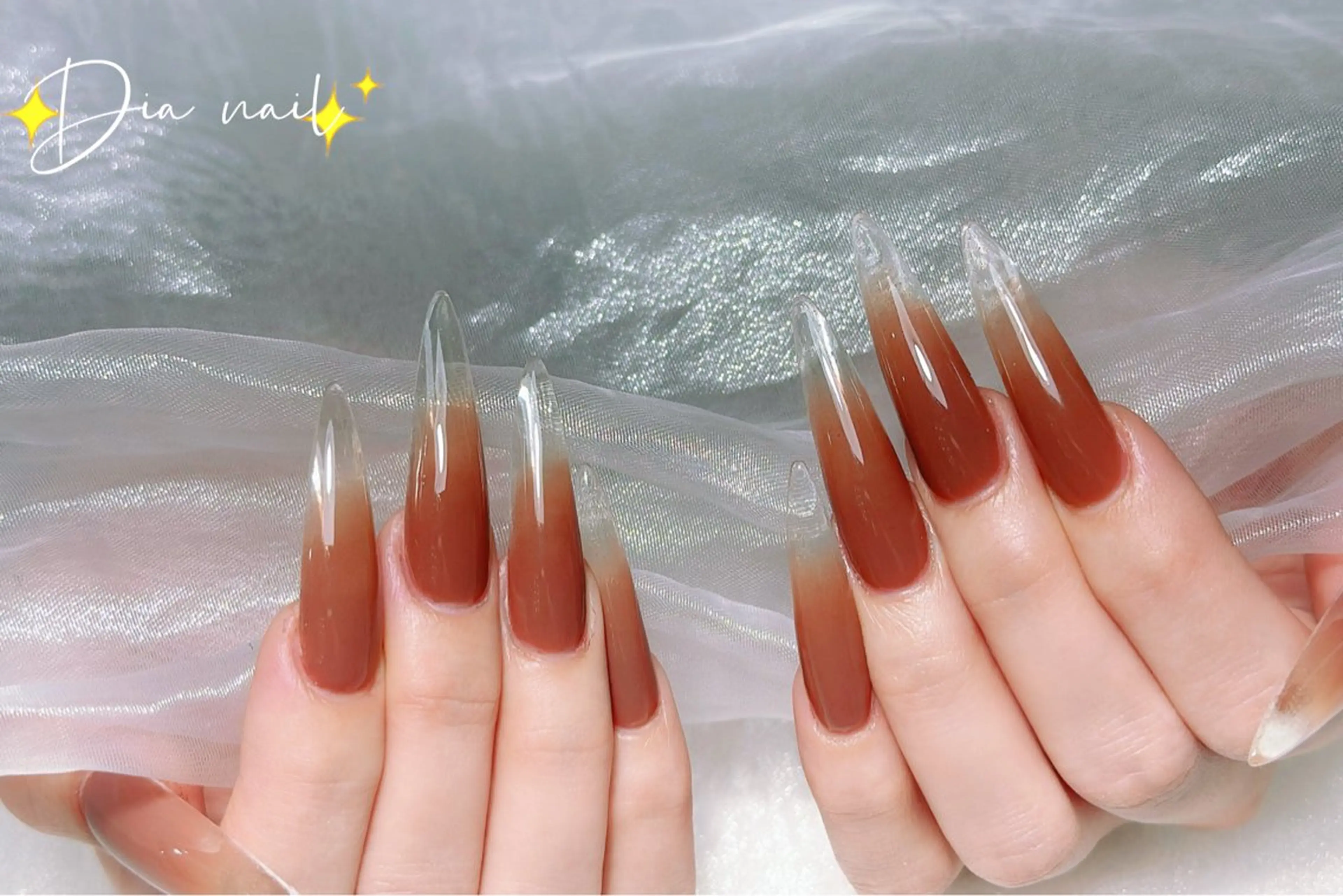 ネイル チークネイル ジェルネイル グラデーション マグネットネイル ニュアンスネイル Di'a nail ネイルサロンのネイルデザイン