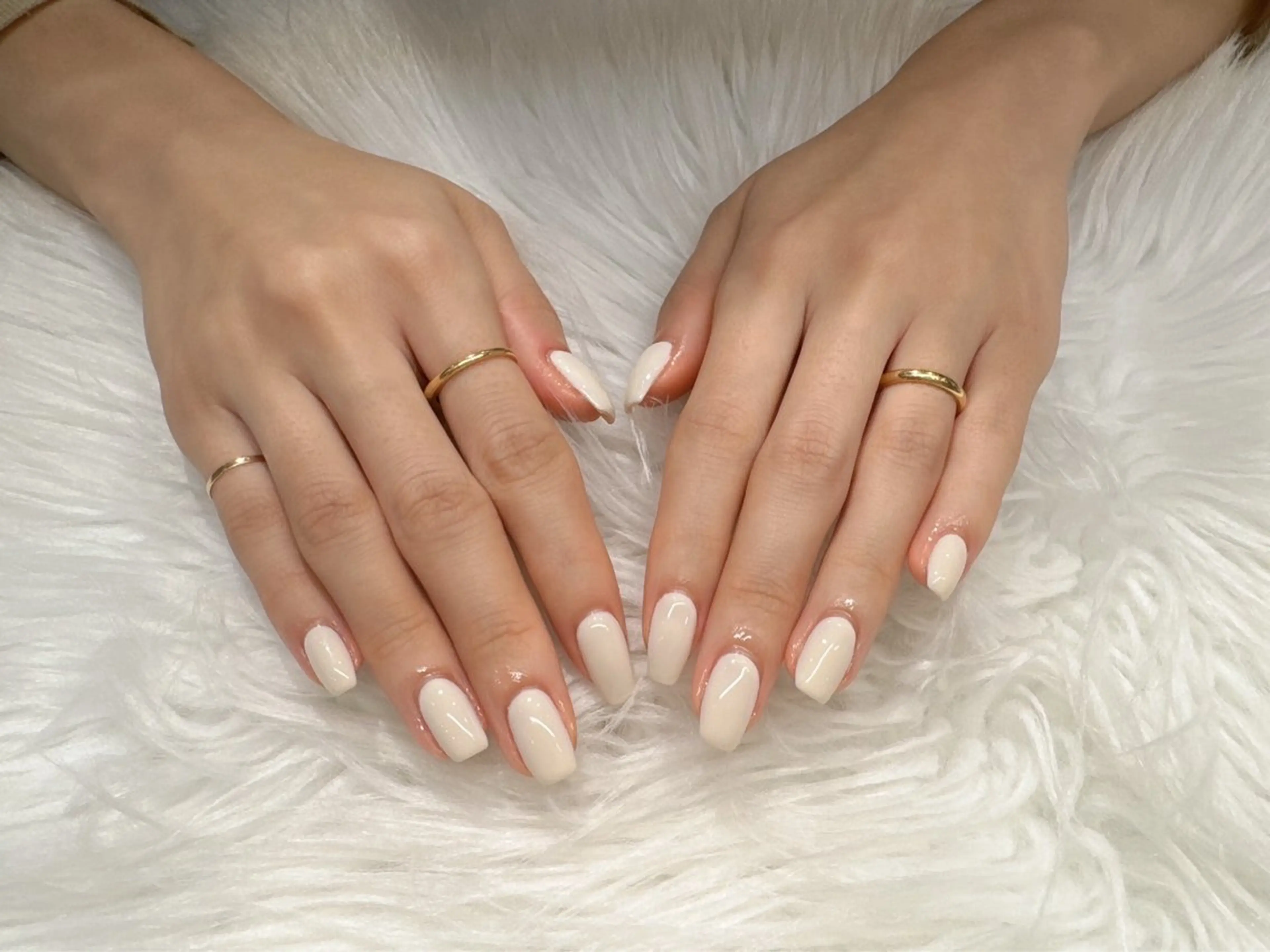 ワンカラーの写真