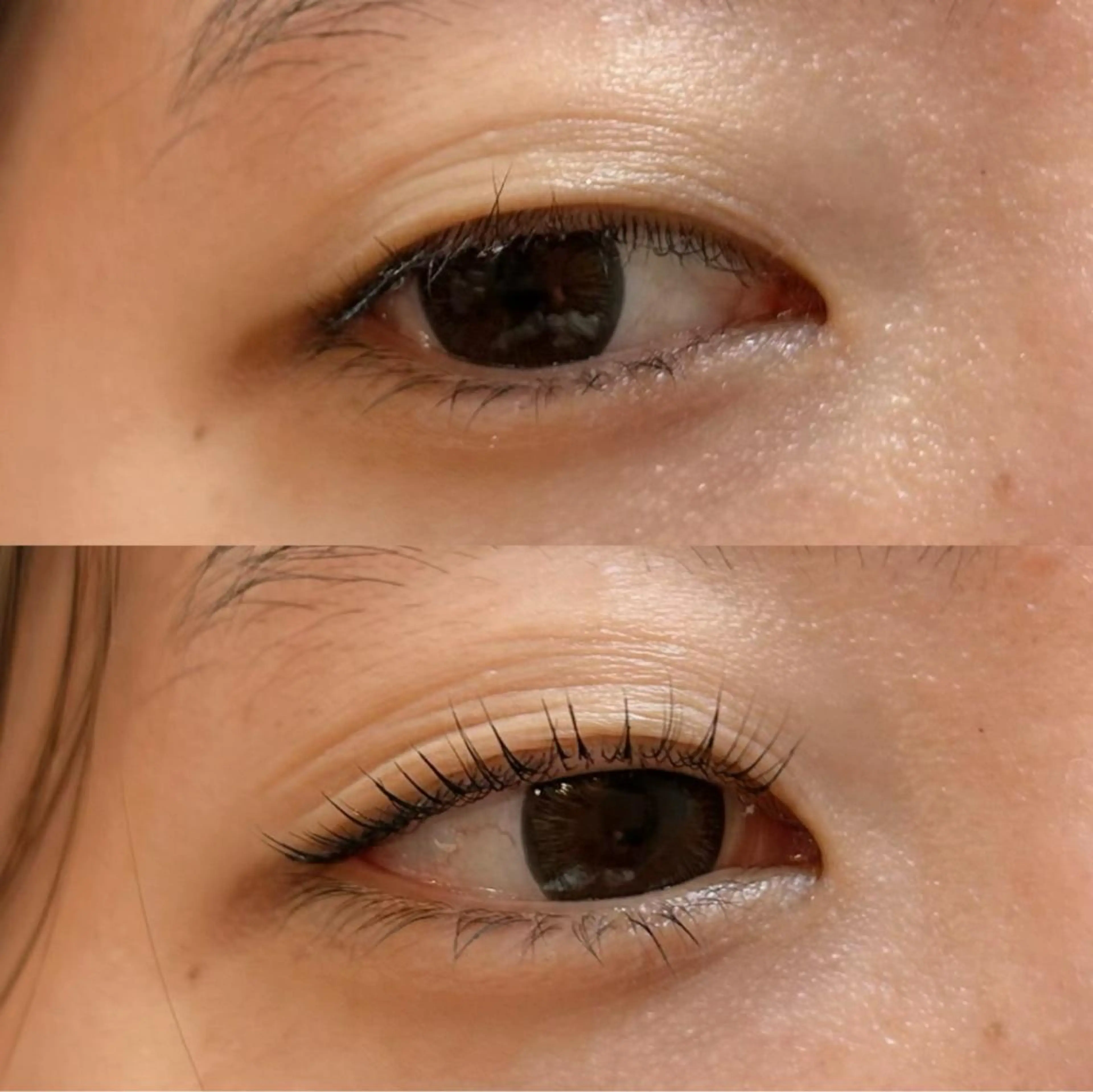 マツエク・マツパ 美容サロン　Mauloa　学芸大学　東口店所属・マウロア　中邑 悠起子の眉毛・アイブロウイメージ