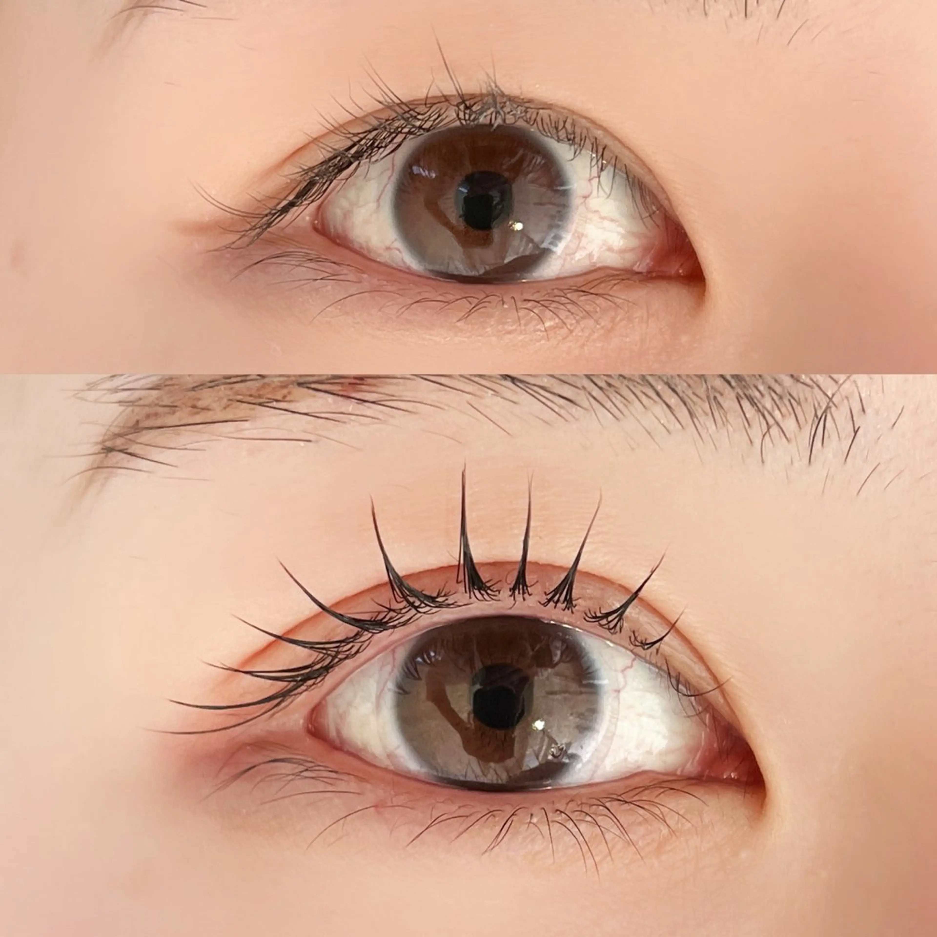 マツエク・マツパ 一重×まつ毛パーマ 恵比寿マツエク /まつぱasumiのマツエク・マツパデザイン