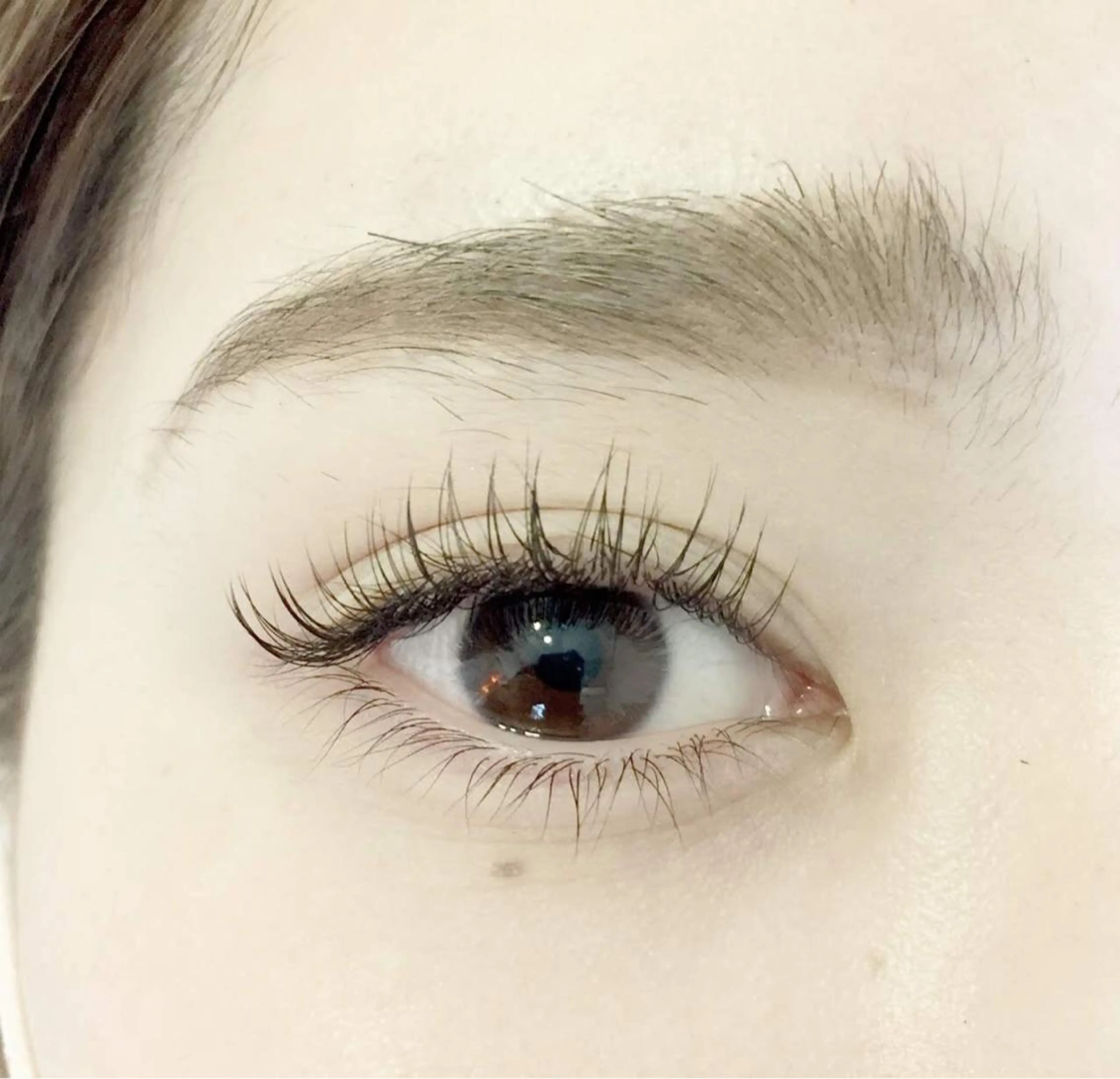 🌟ご新規様ミニモ限定🌟　両目100本トリートメント込みの写真