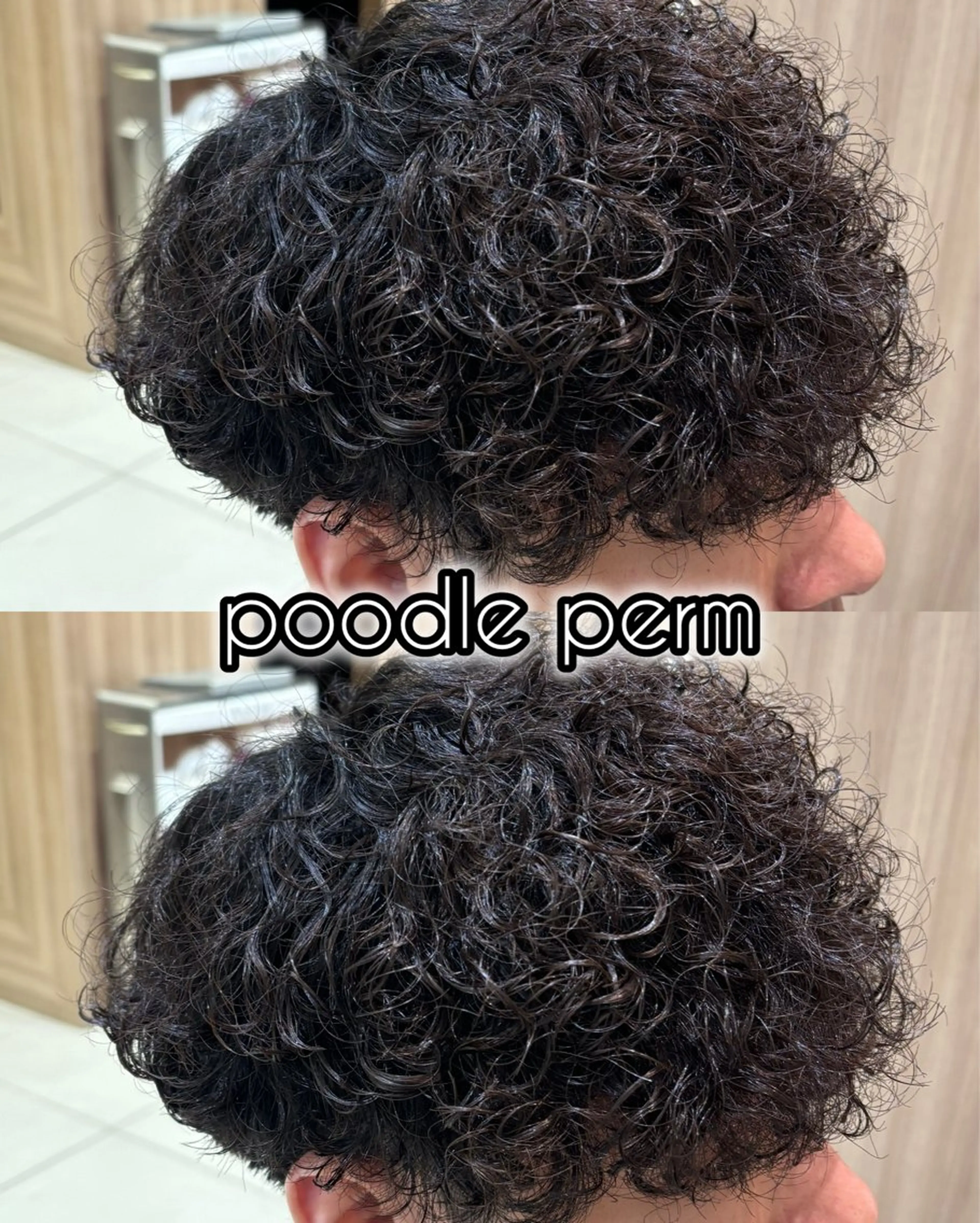 パーマ メンズ メンズパーマ プードルパーマ プードルパーマ 縮毛矯正・ パーマ特化/aoiのヘアスタイル