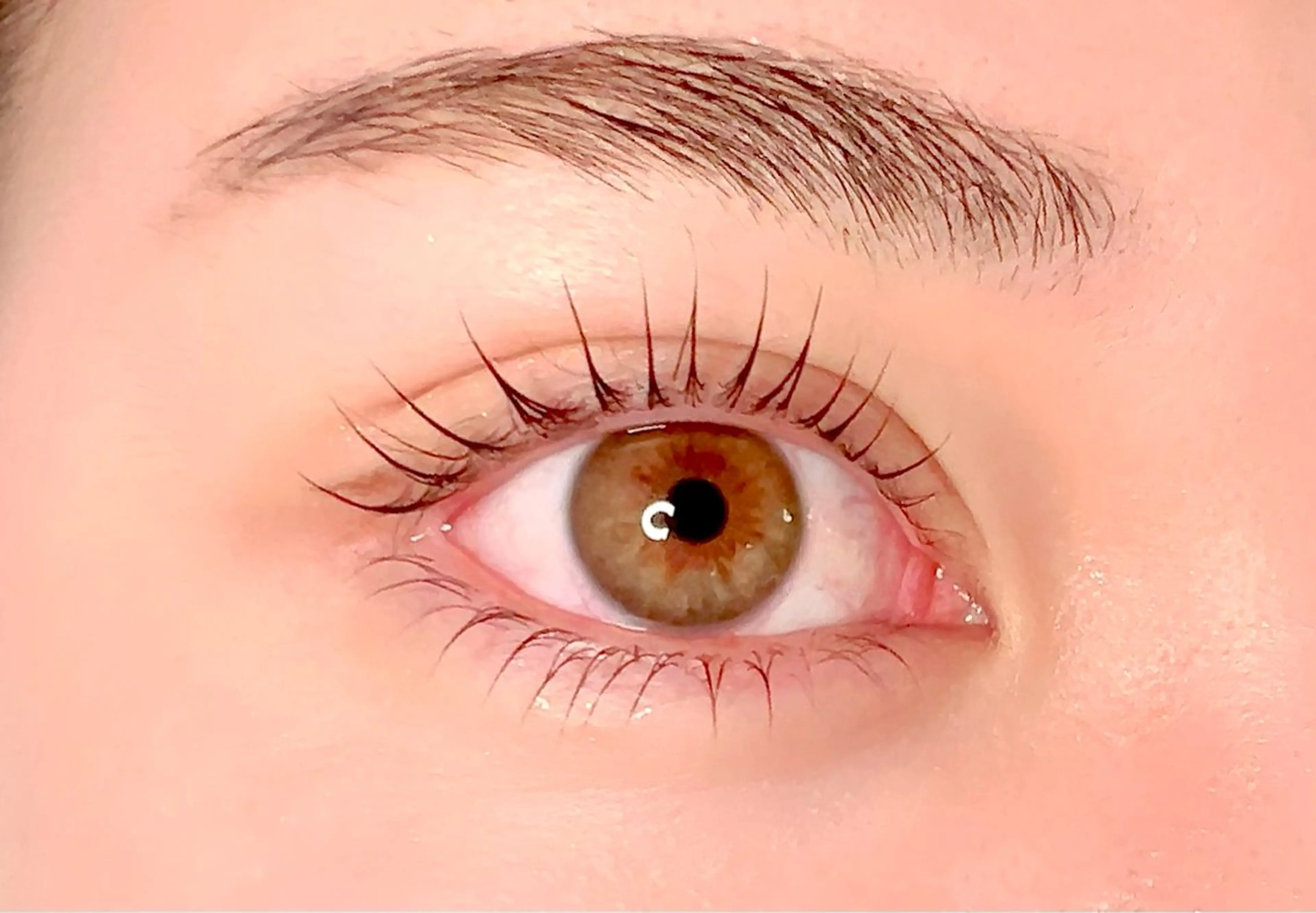 🌸SNSモデル🌸束感仕上げのまつ毛パーマ上下🌸メンズ大歓迎🌸の写真