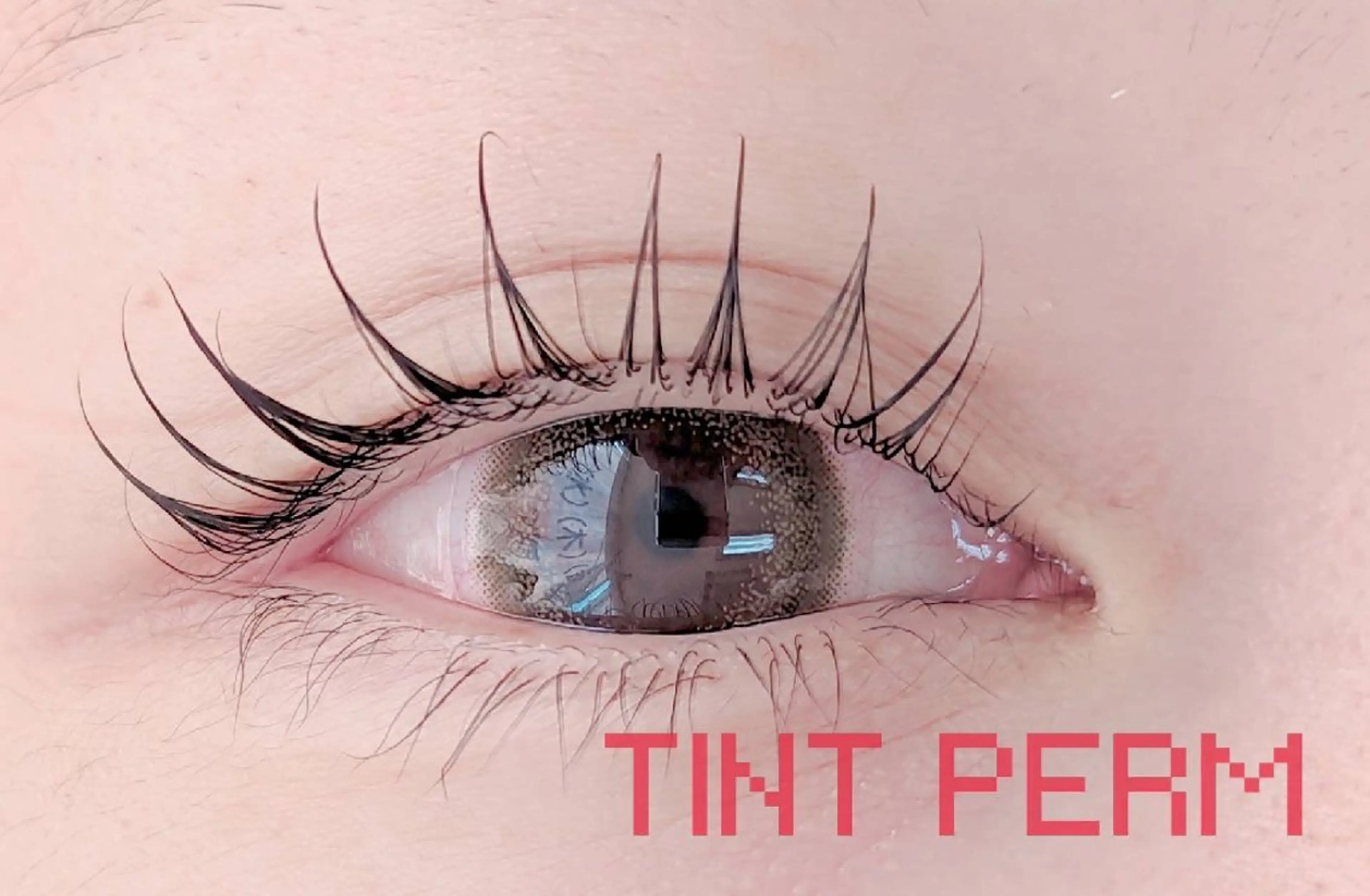 マツエク・マツパ A-byss所属・A-byss 🫧アビス🫧のマツエク・マツパデザイン