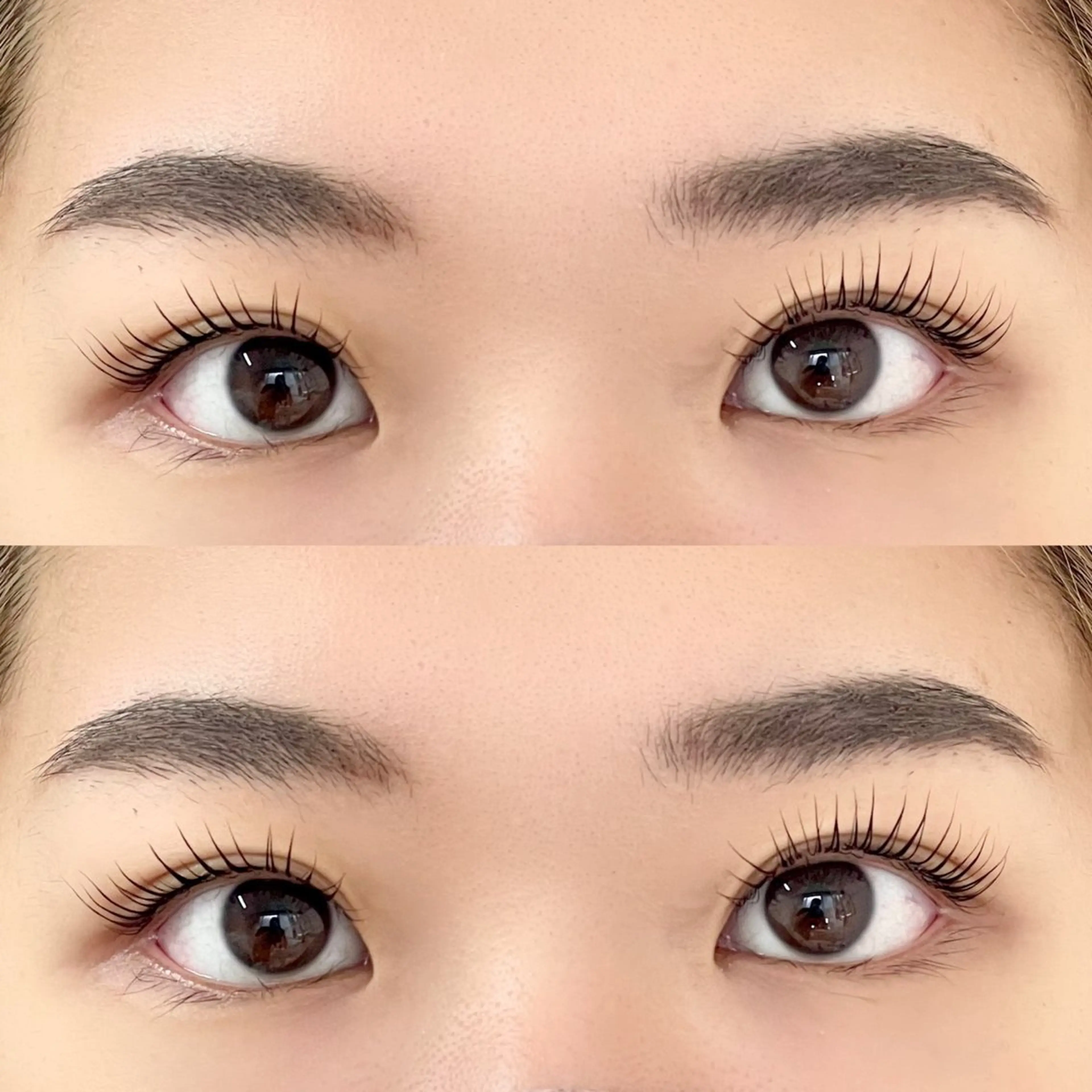 マツエク・マツパ Chihiro🕊️ 韓国パーマ/眉毛のマツエク・マツパデザイン