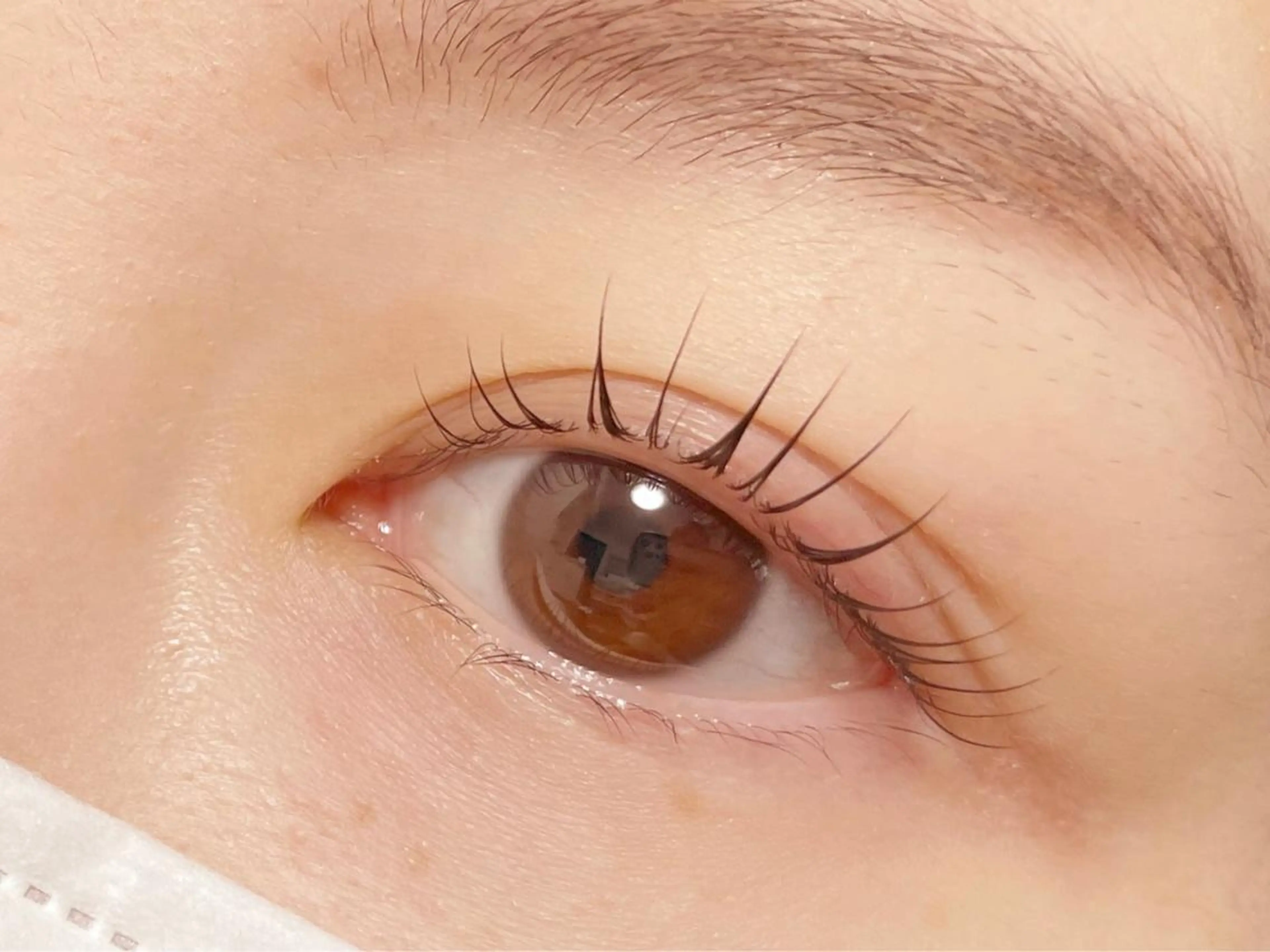 似合わせラッシュリフトの写真