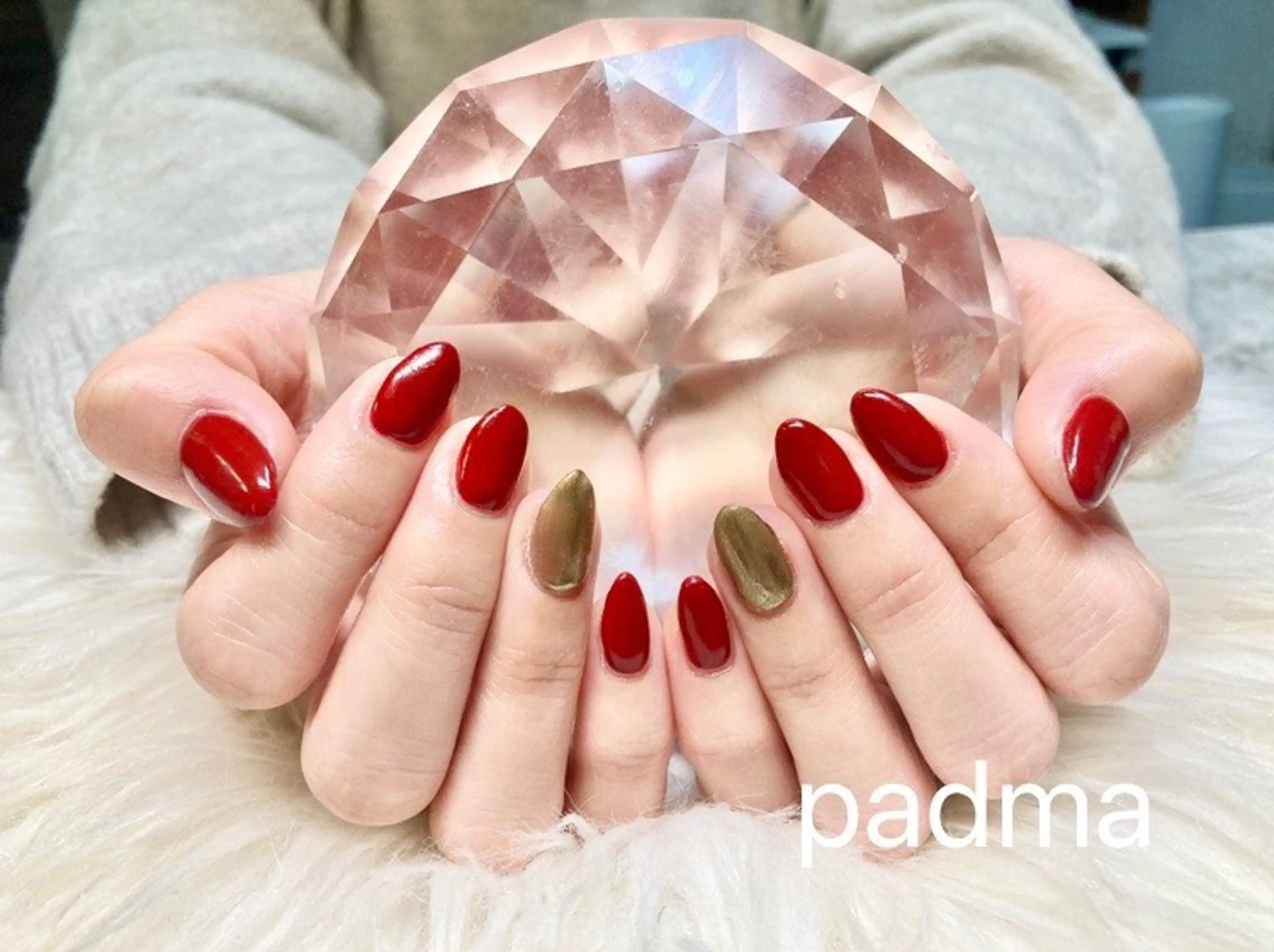 【オフなし】ワンカラーの写真